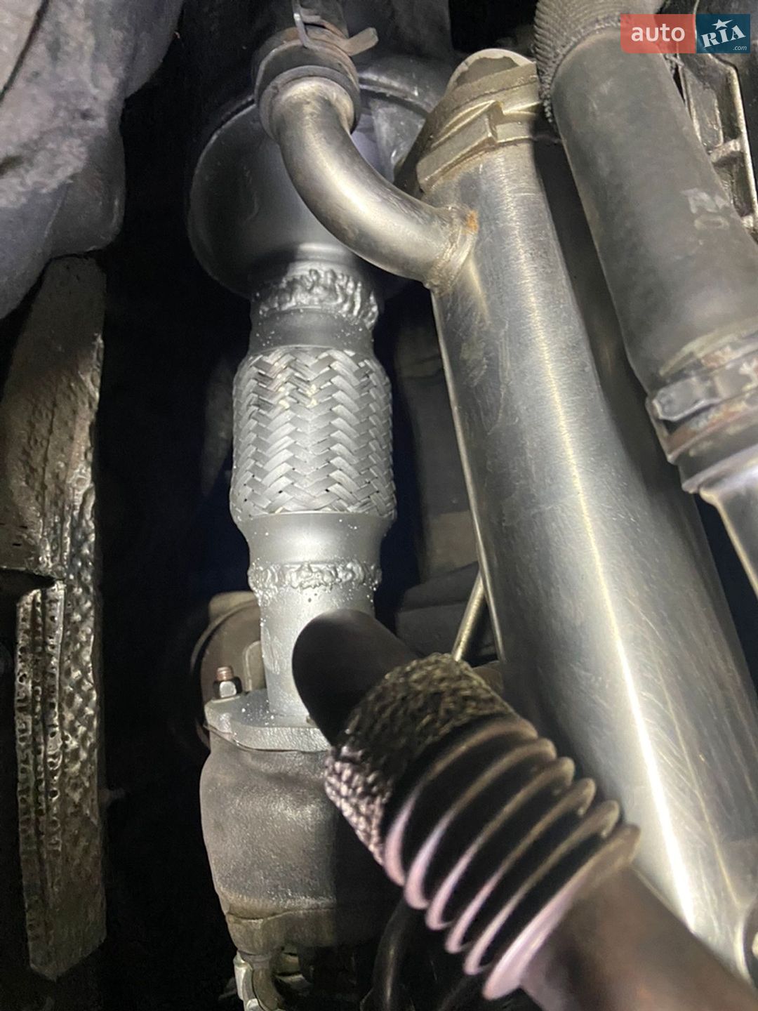 Audi A6 2005 VIN WAUZZZ4F75N101527 фото оголошення 49 з 81