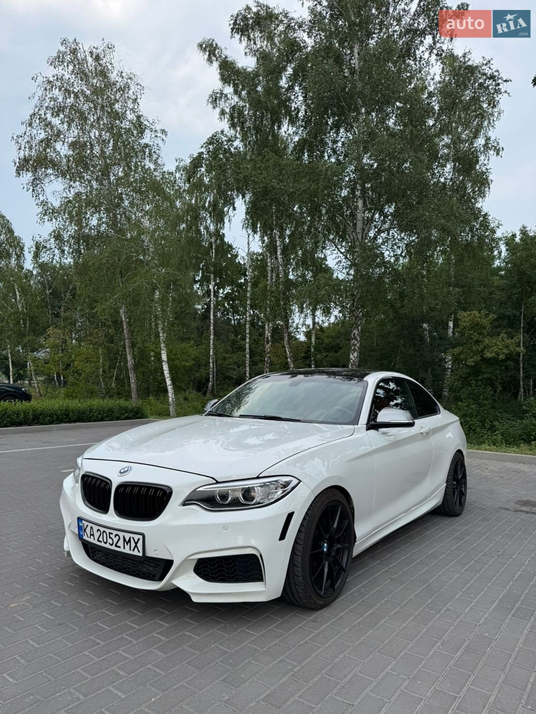 BMW 2 Series 2016 VIN WBA1J7C57GV360765 фото оголошення 9 з 42