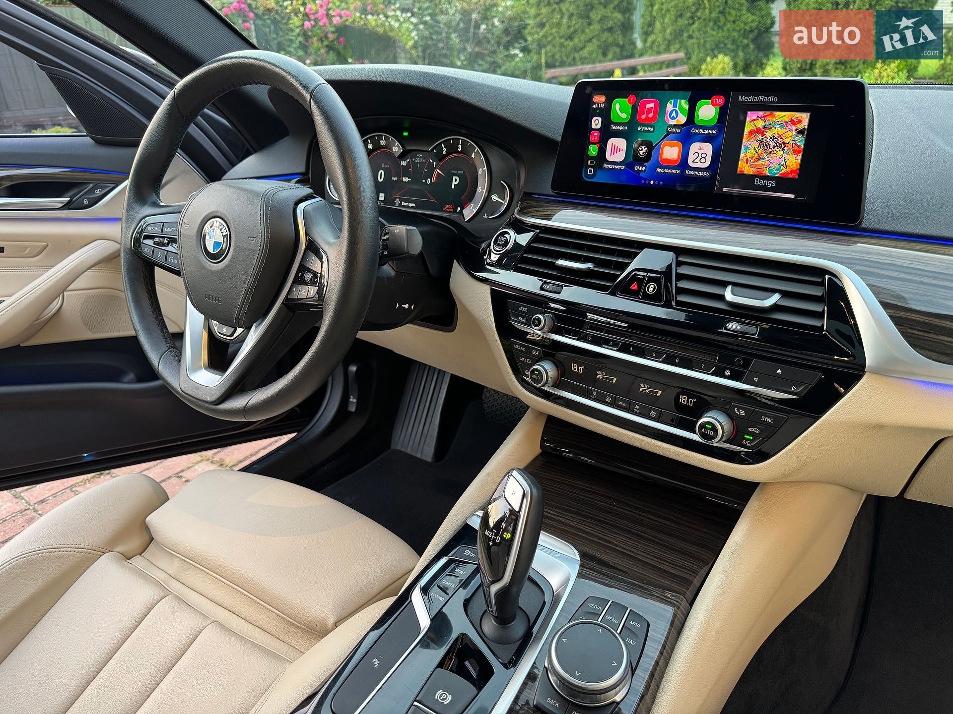 BMW 5 Series 2019 VIN WBAJA5C54KWW29974 фото оголошення 16 з 31