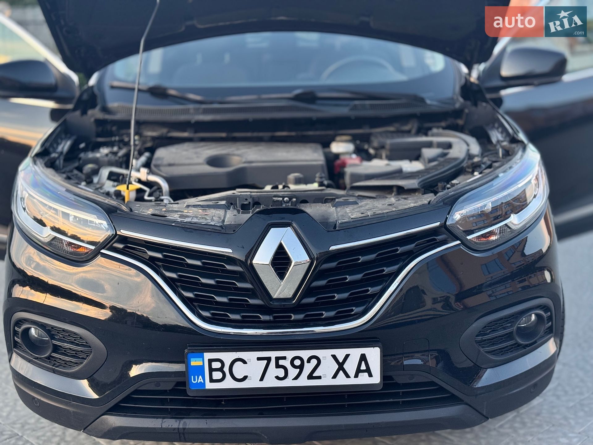 Renault Kadjar 2020 VIN VF1RFE00564916515 фото оголошення 13 з 13