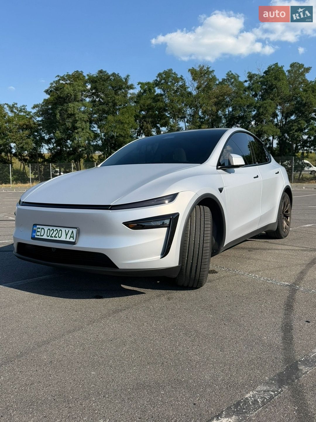 Tesla Model Y 2025 VIN 7SAYGDEE5TA391226 фото оголошення 7 з 18