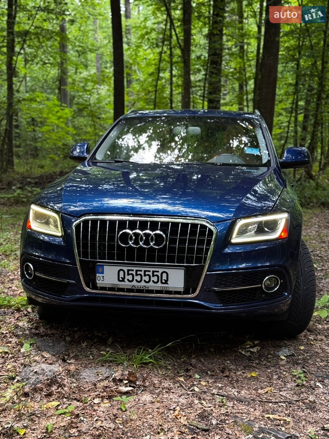 Audi Q5 2013 VIN WA1DGAFP5DA098363 фото оголошення 2 з 16
