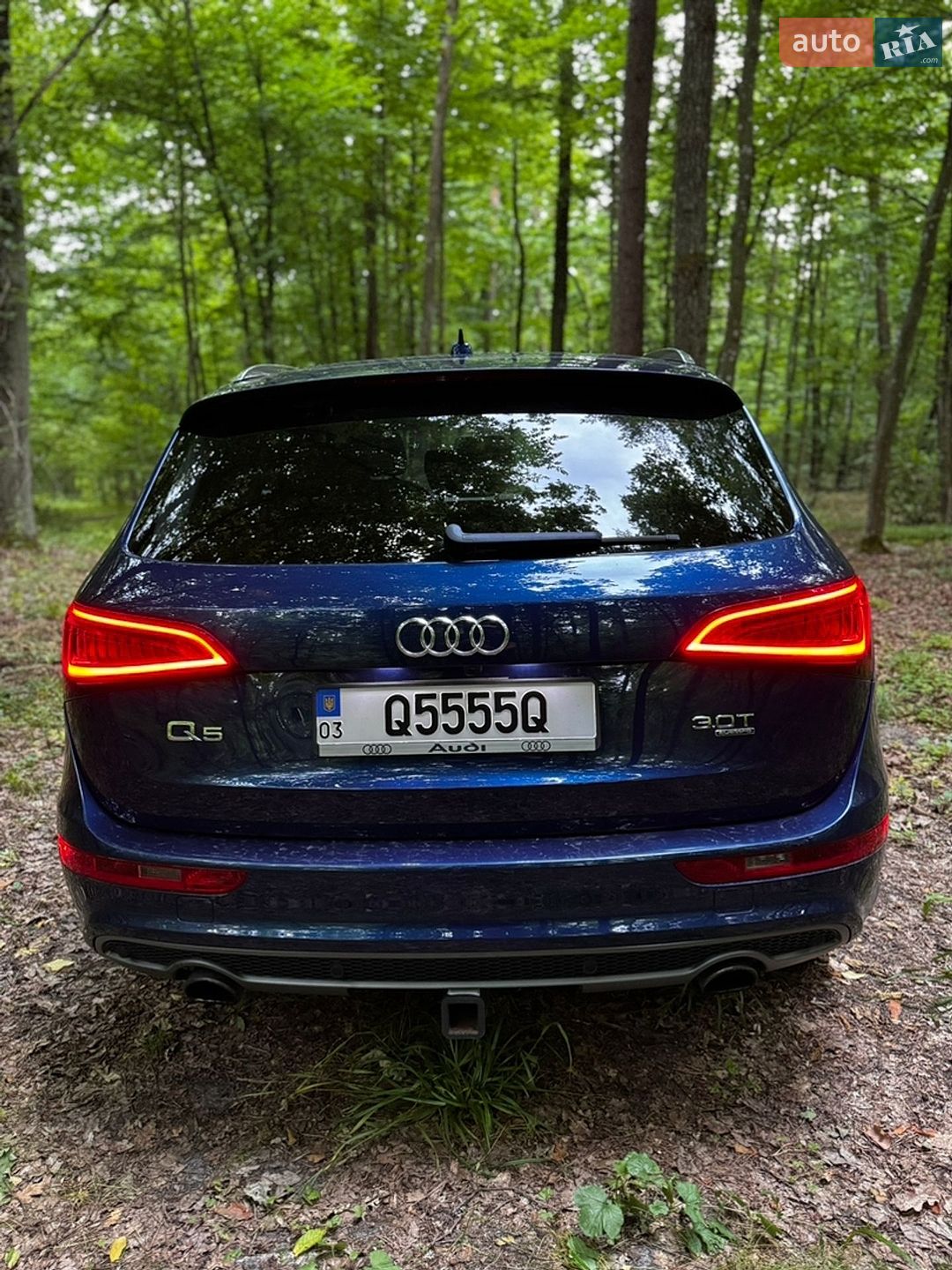 Audi Q5 2013 VIN WA1DGAFP5DA098363 фото оголошення 9 з 16