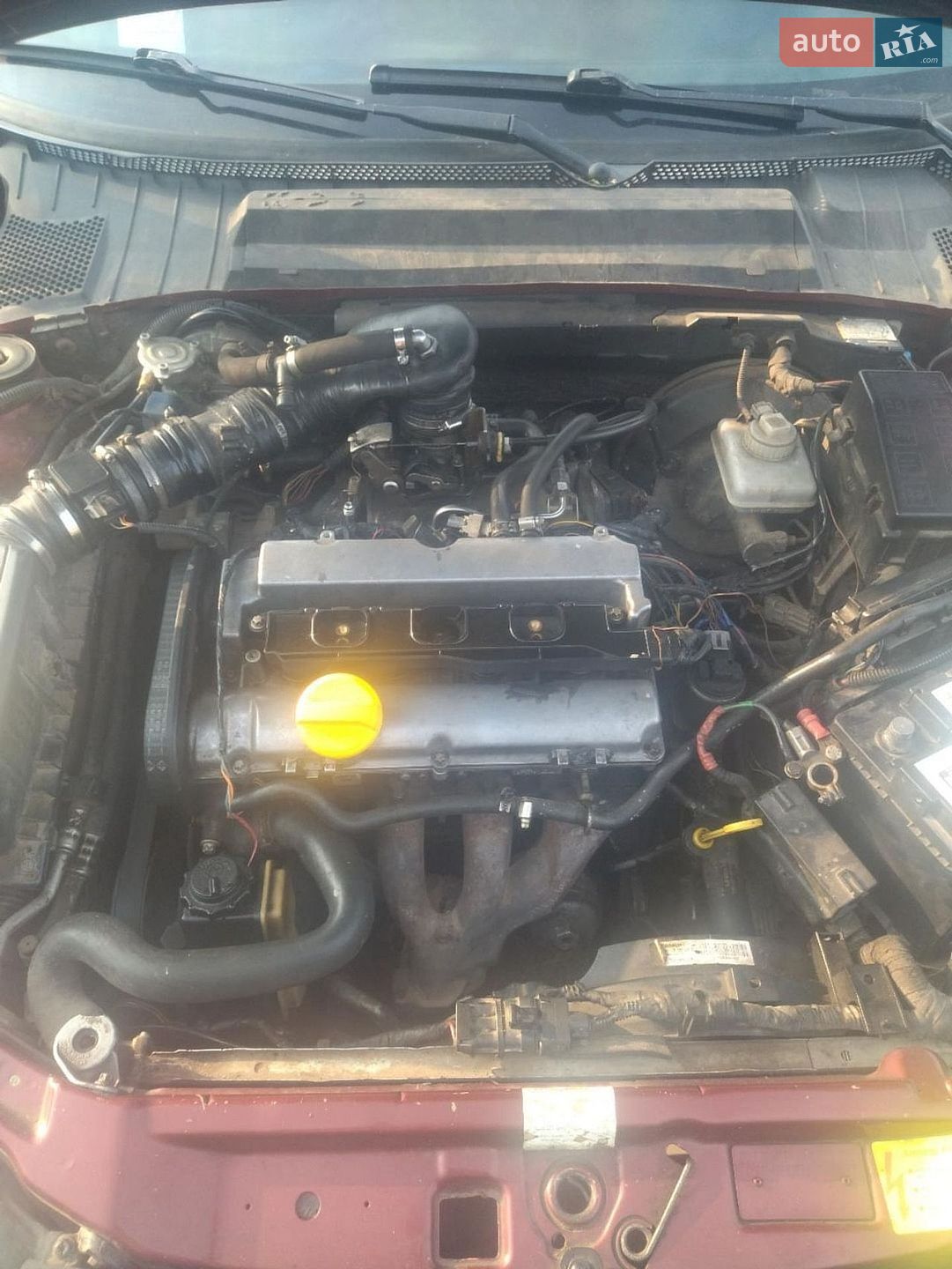 Opel Vectra 1998 VIN W0L0JBF19W1308261 фото оголошення 5 з 7