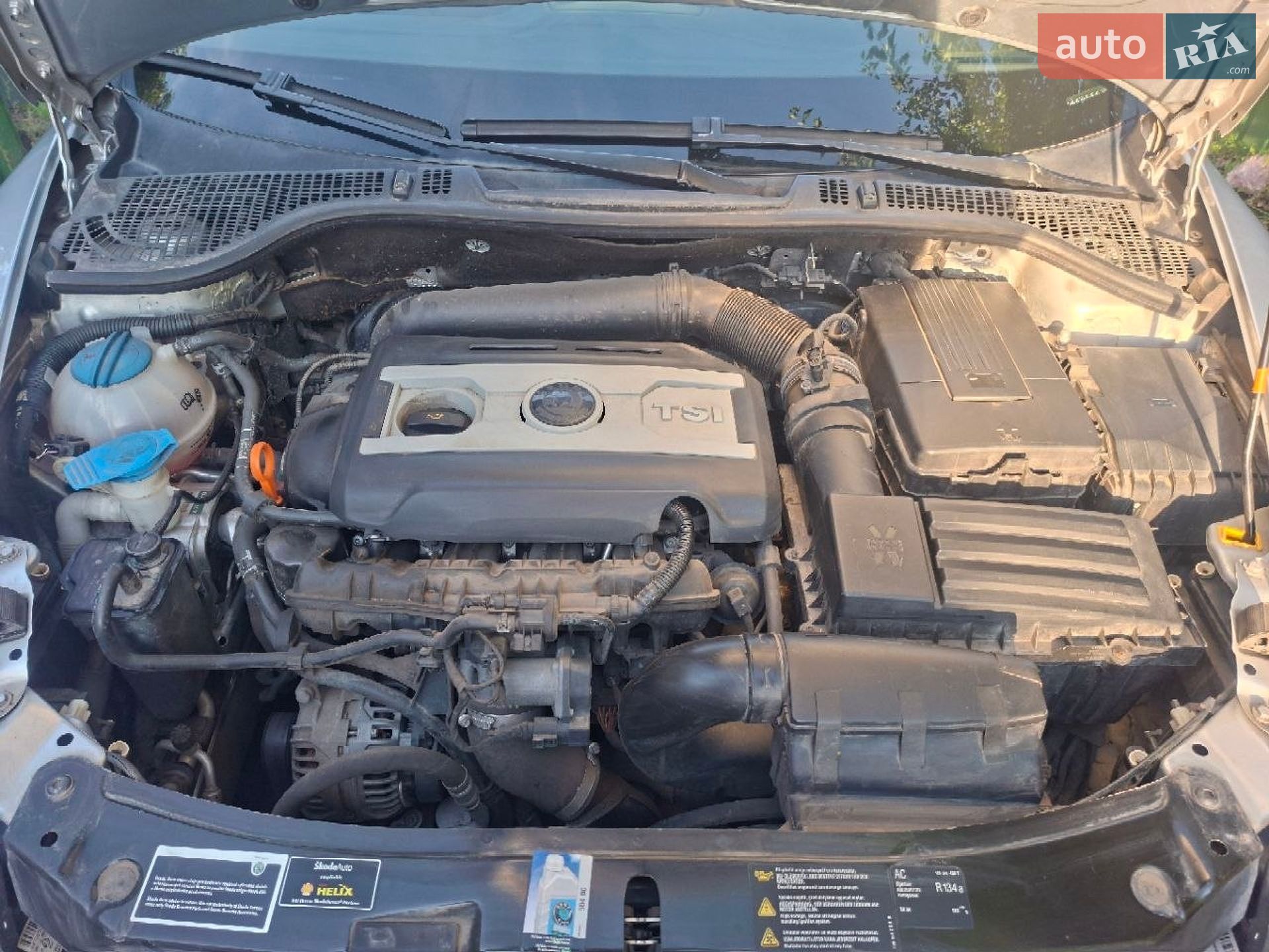 Skoda Octavia 2009 VIN TMBKK61ZX92032202 фото оголошення 3 з 16