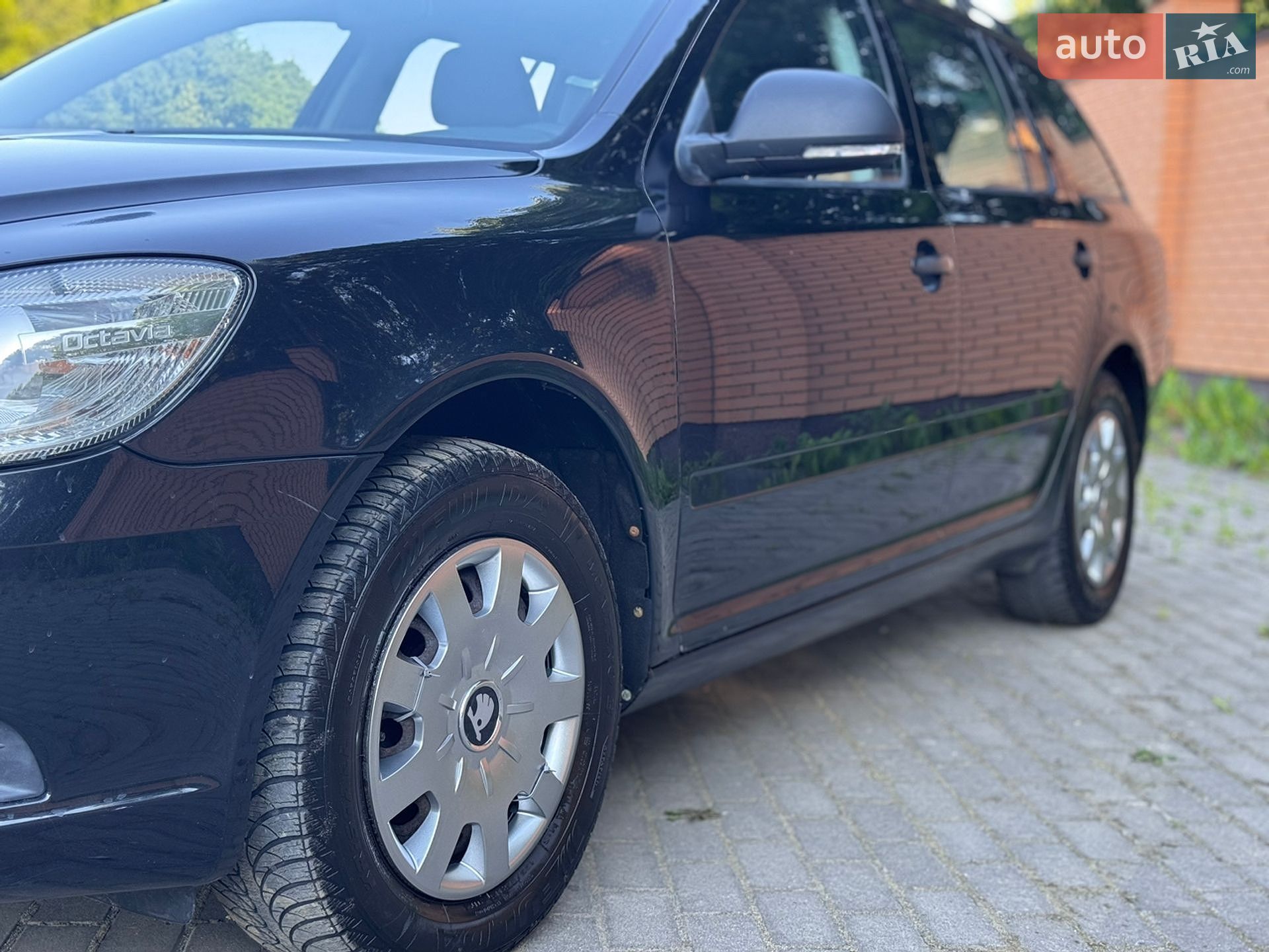 Skoda Octavia 2009 VIN TMBJA21ZX92038976 фото оголошення 8 з 27