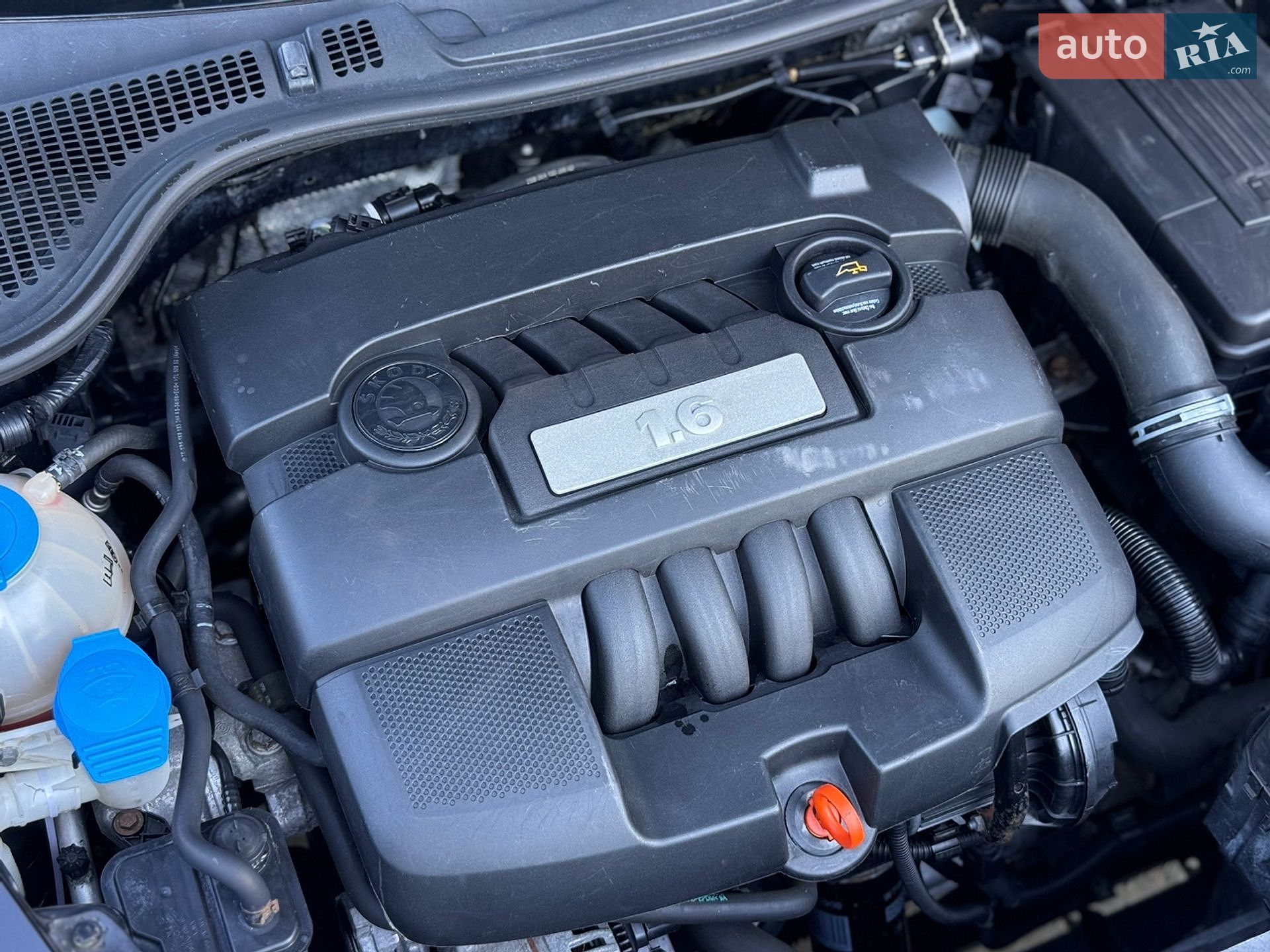 Skoda Octavia 2009 VIN TMBJA21ZX92038976 фото оголошення 24 з 27