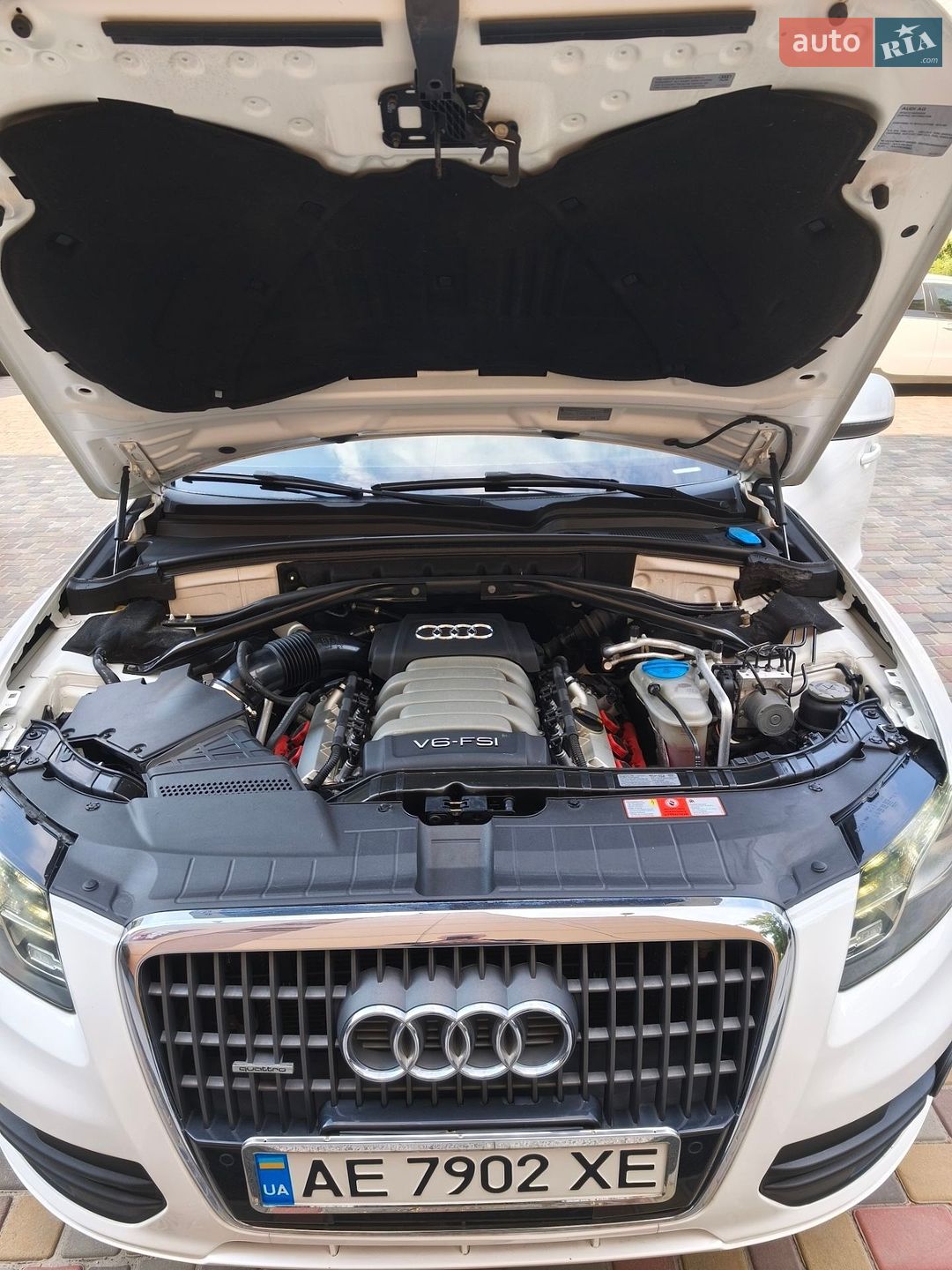 Audi Q5 2009 VIN WA1LKAFP6AA040381 фото оголошення 26 з 42