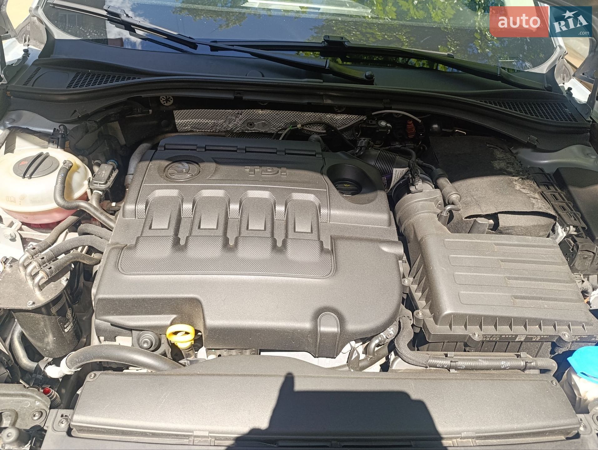 Skoda Superb 2016 VIN TMBAH7NP9G7064244 фото оголошення 3 з 23
