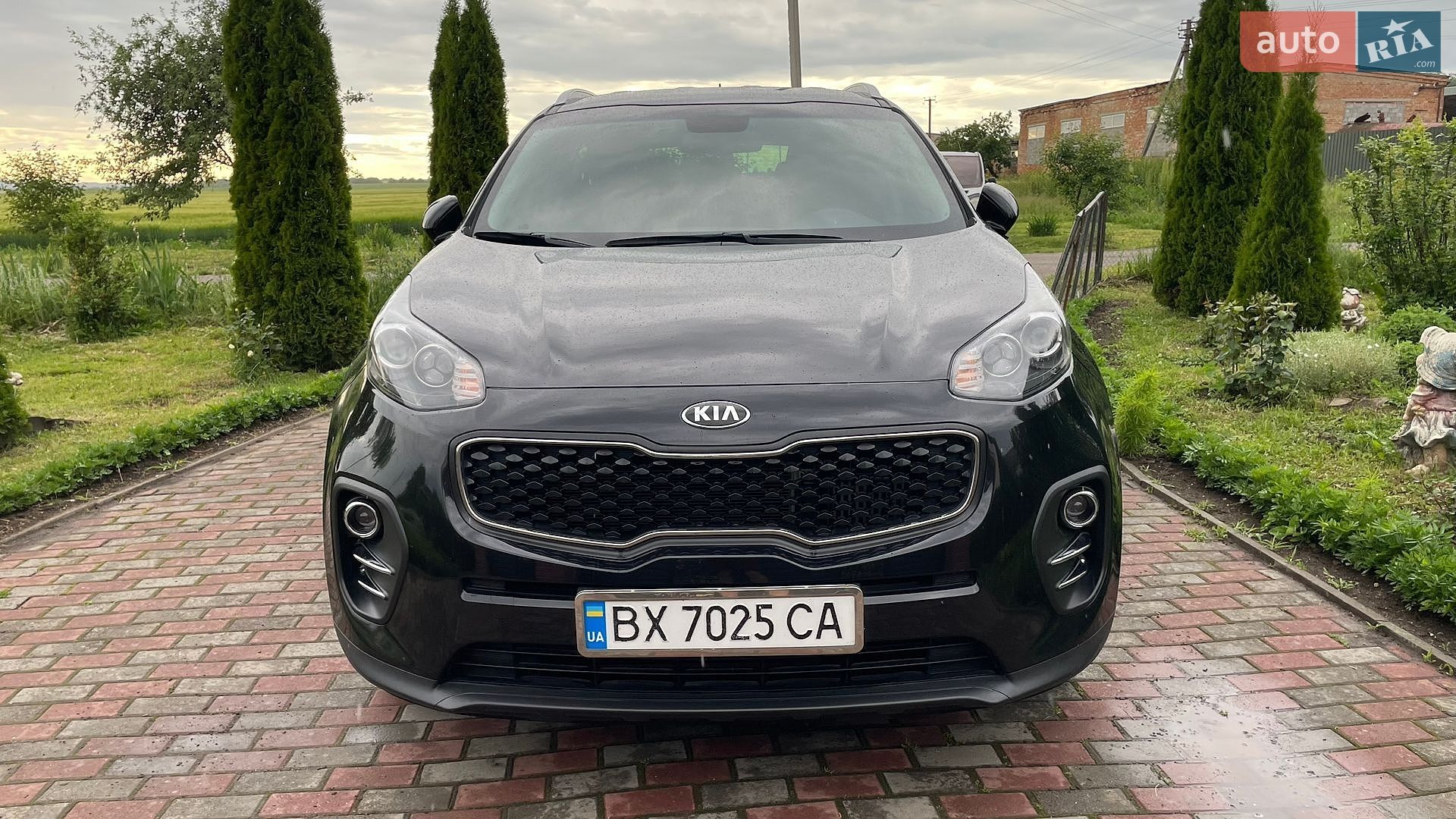 Kia Sportage 2017 VIN U5YPG815GHL342990 фото оголошення 11 з 26