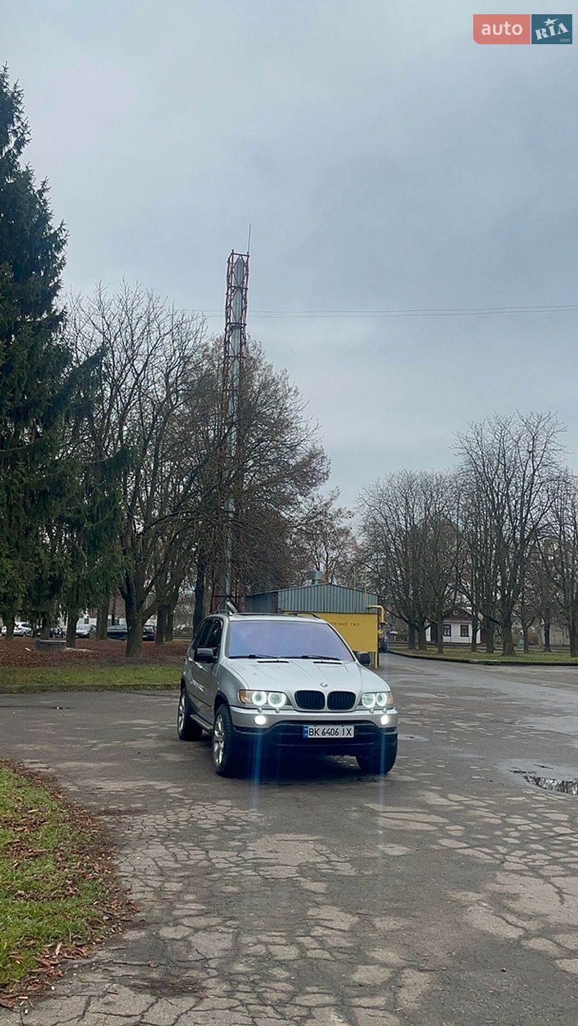 BMW X5 2002 VIN WBAFA710X0LU80459 фото оголошення 11 з 18