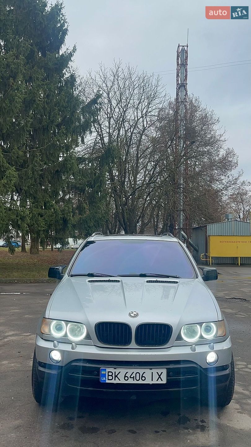 BMW X5 2002 VIN WBAFA710X0LU80459 фото оголошення 17 з 18