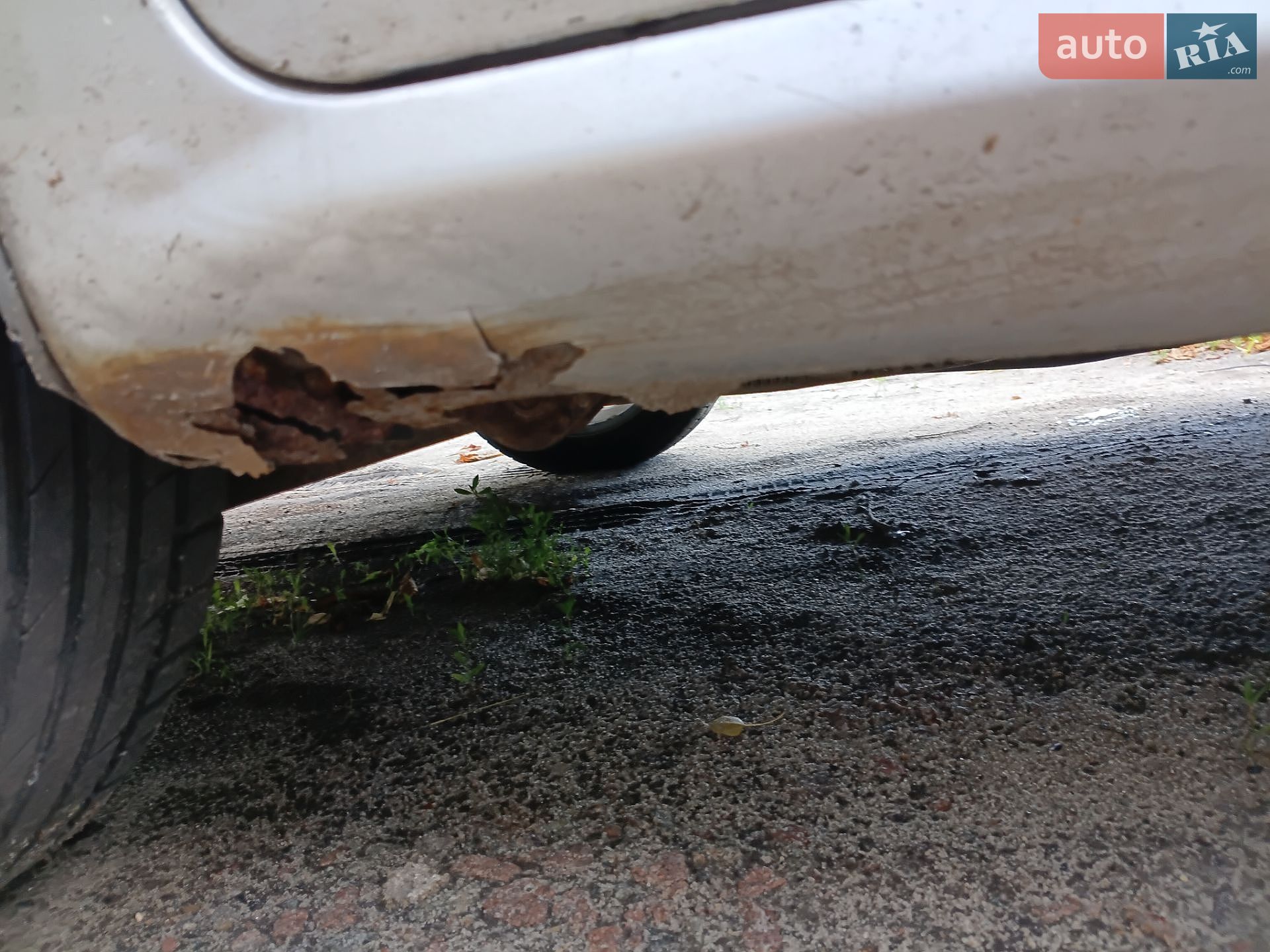 Chevrolet Lacetti 2005 VIN Y6DNF196E5K162210 фото оголошення 15 з 16