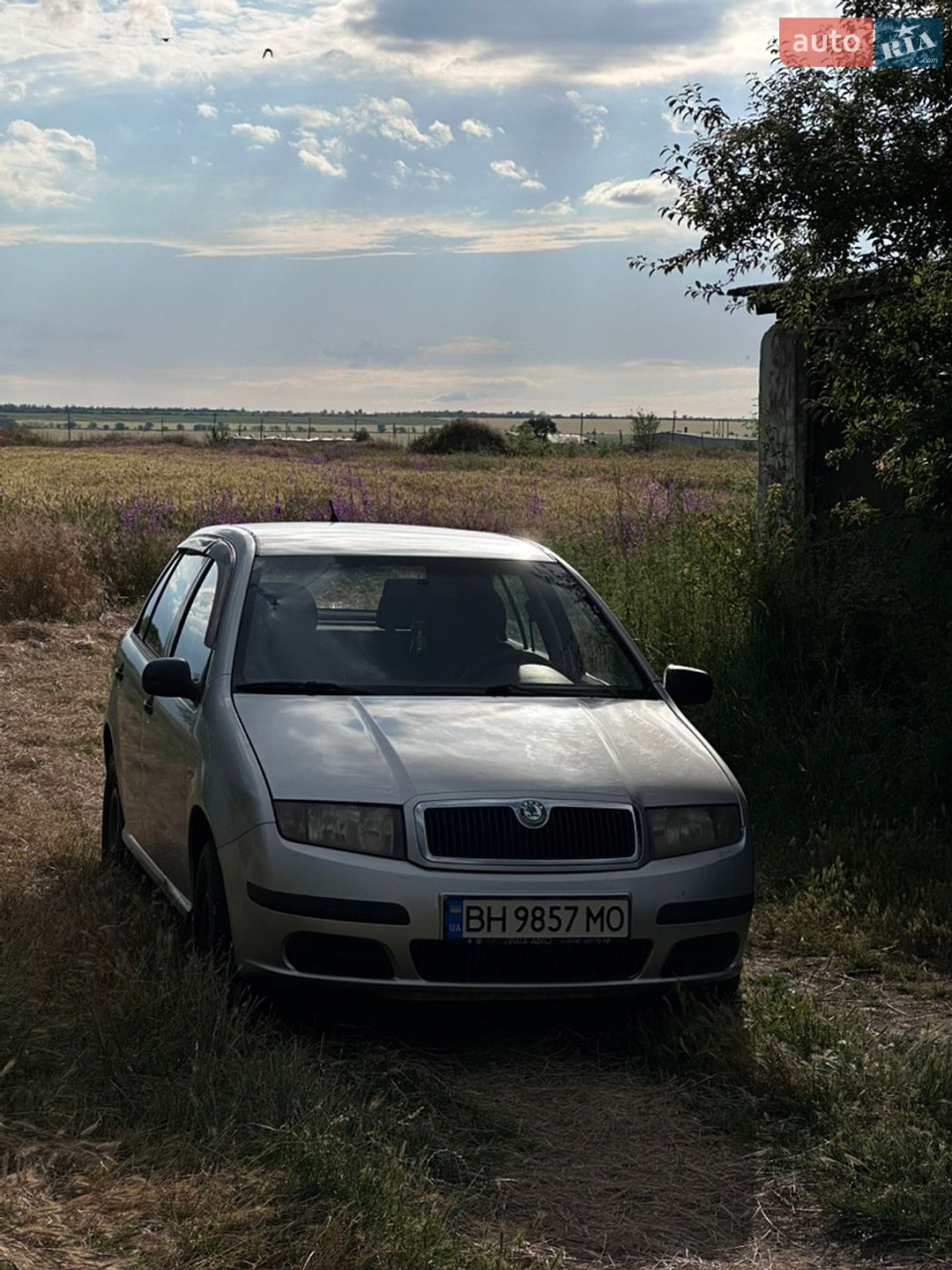 Skoda Fabia 2006 VIN TMBPY16Y66B052336 фото оголошення 5 з 12