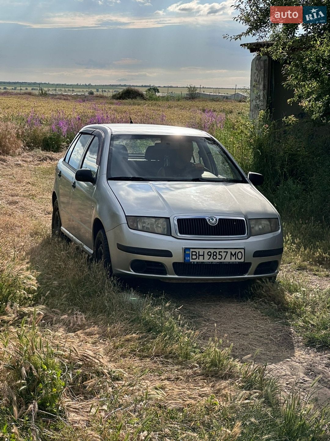 Skoda Fabia 2006 VIN TMBPY16Y66B052336 фото оголошення 6 з 12