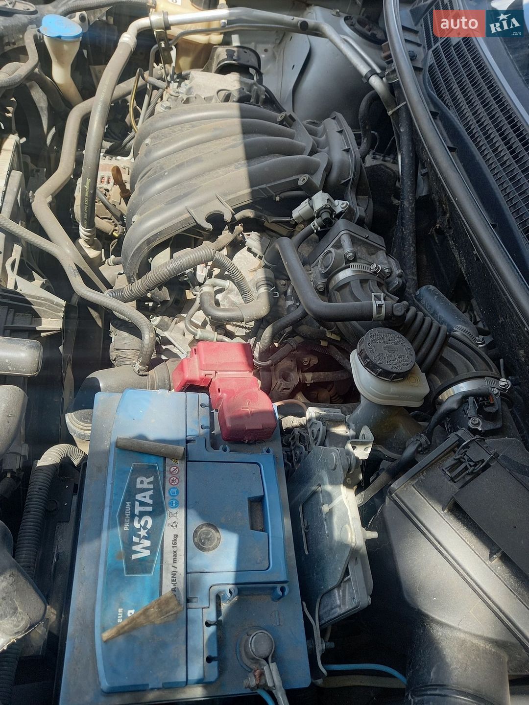 Nissan Qashqai 2008 VIN SJNFAAJ10U1223586 фото оголошення 6 з 28