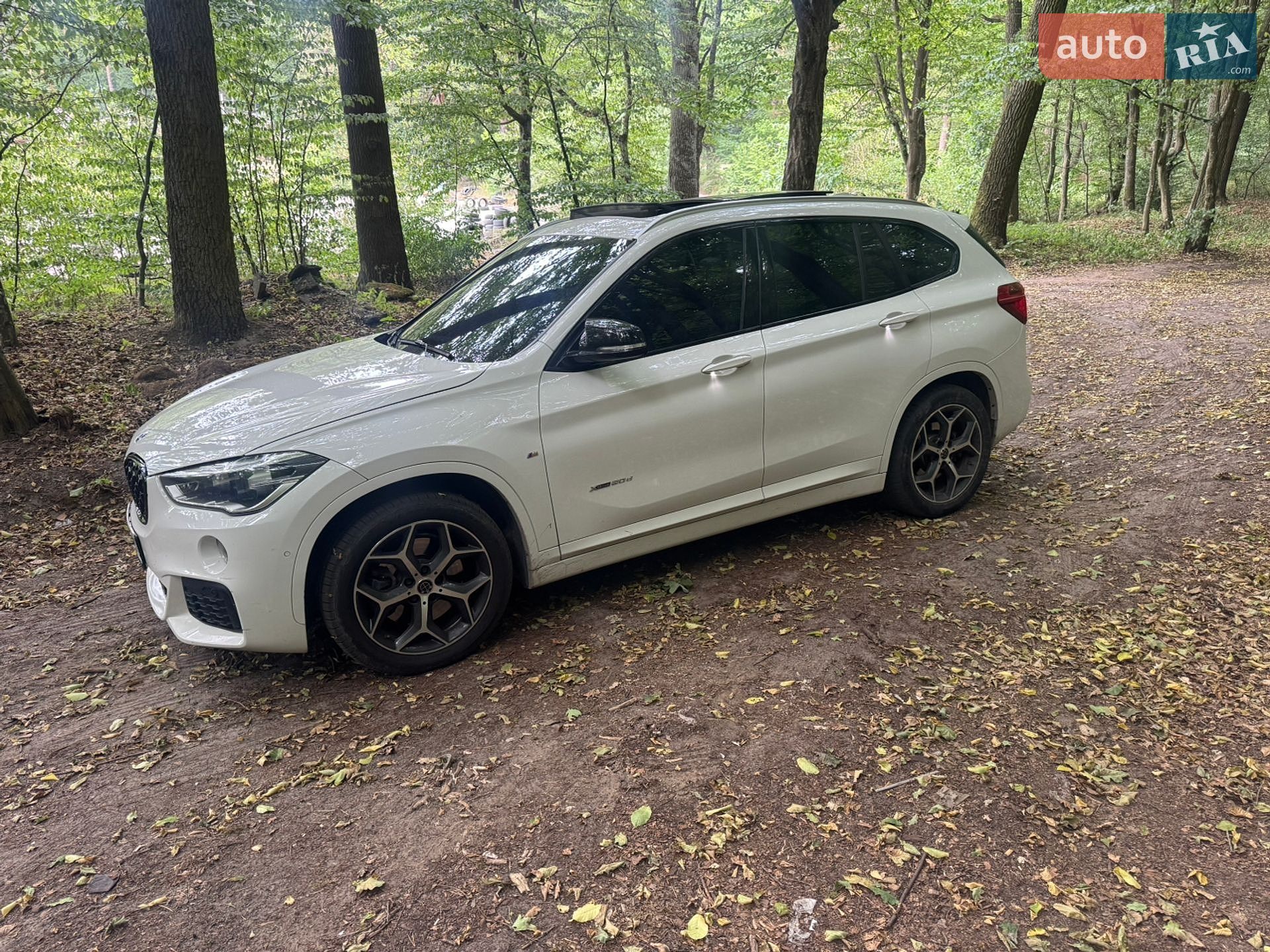 BMW X1 2016 VIN WBAHU3100H5E40032 фото оголошення 20 з 46