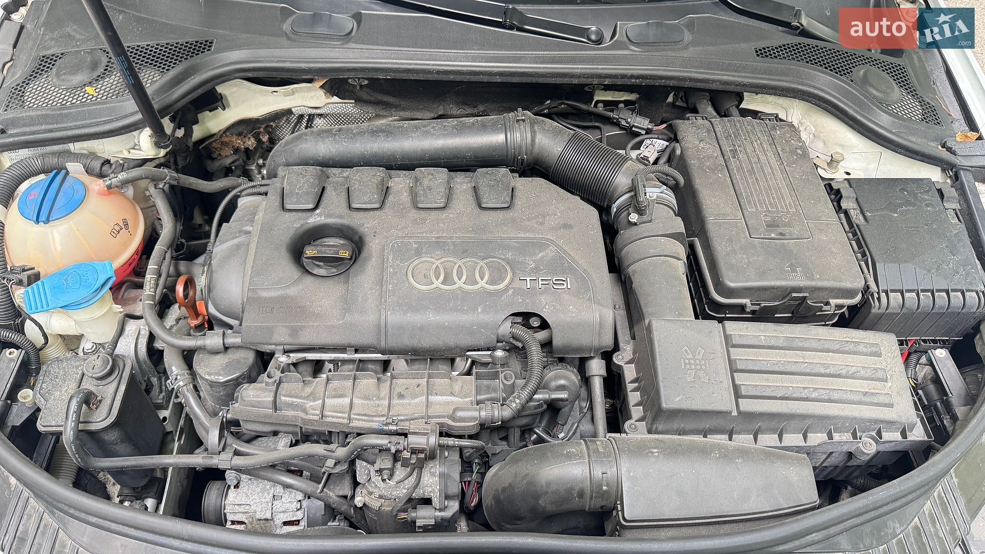 Audi A3 2011 VIN WAUZZZ8P2CA056598 фото оголошення 52 з 52