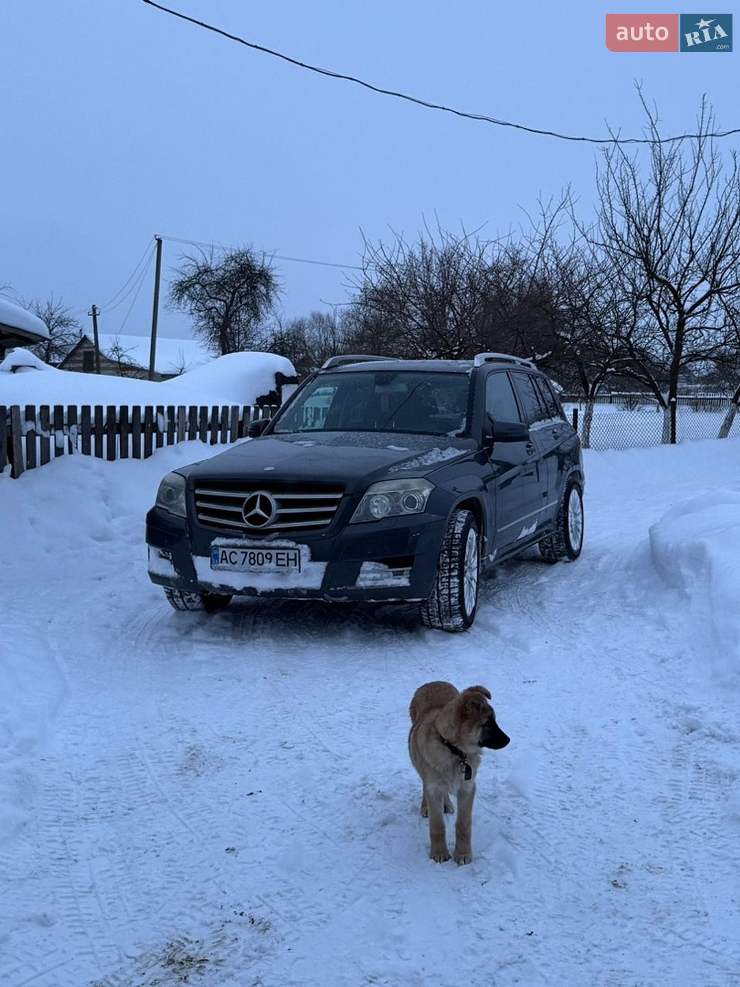 Mercedes-Benz GLK-Class 2010 VIN WDC2049921F526853 фото оголошення 54 з 64