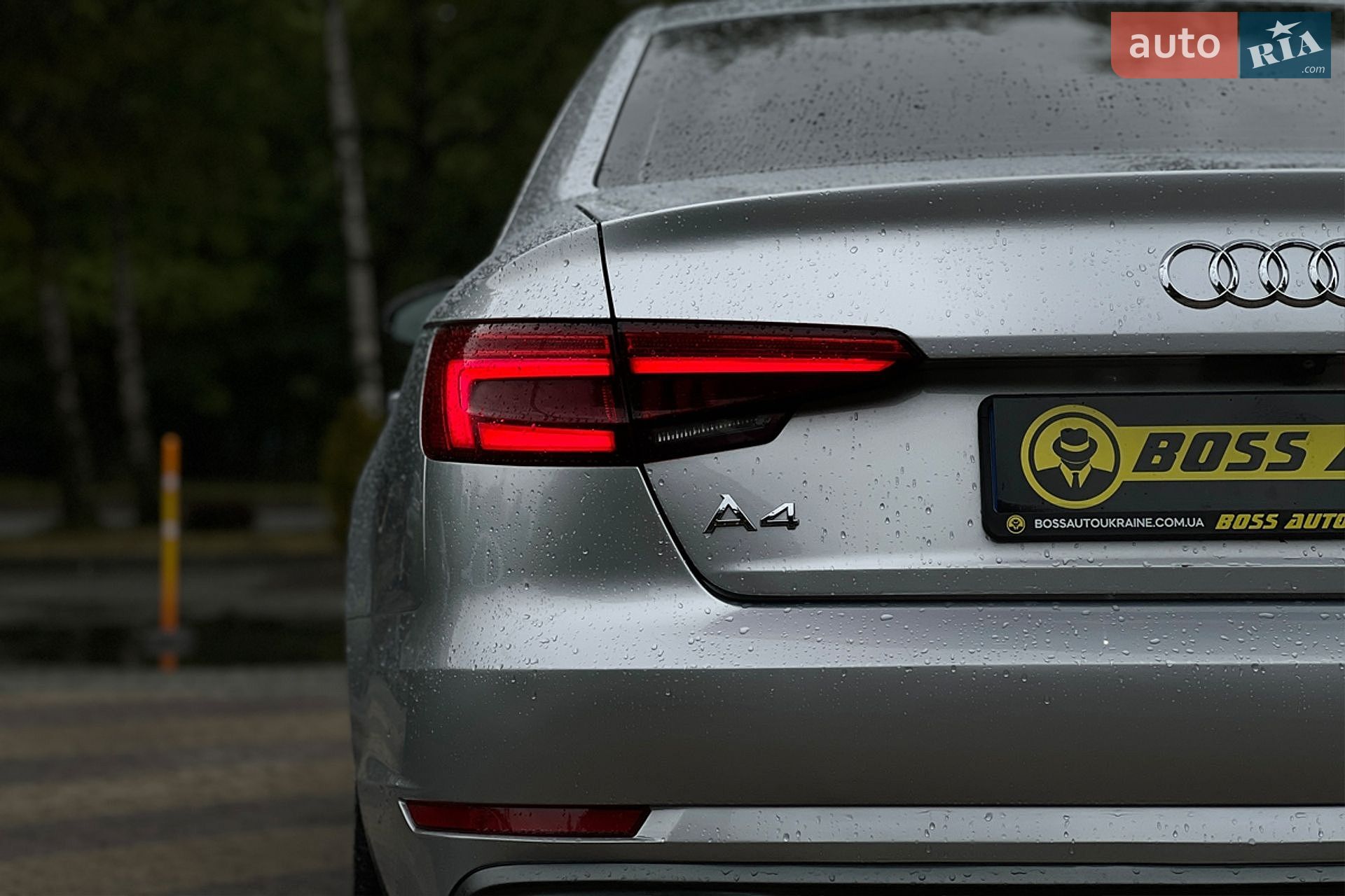 Audi A4 2019 VIN WAUGMAF45KN010142 фото оголошення 33 з 33
