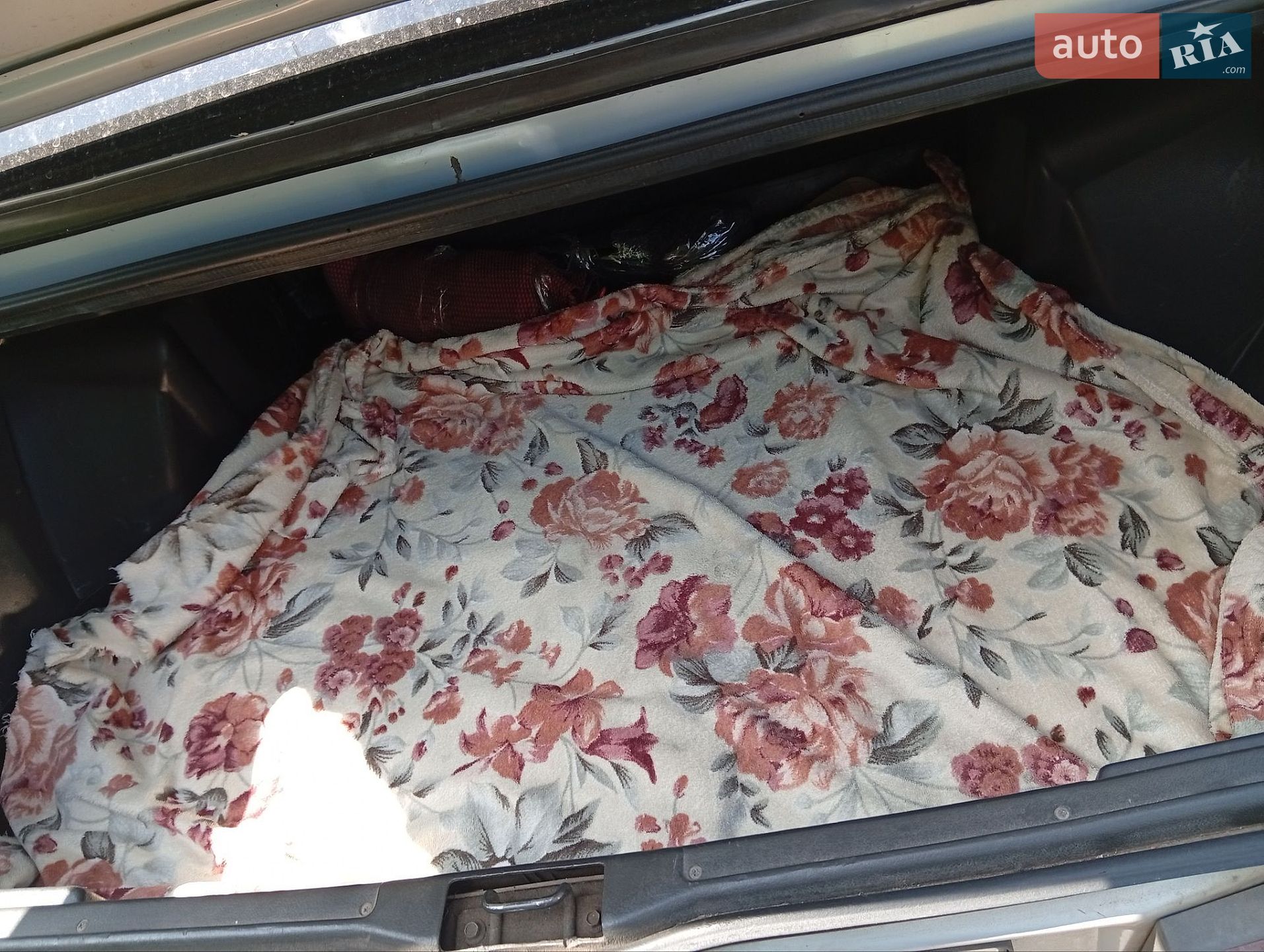ВАЗ / Lada 21099 2005 VIN Y6D21099040004535 фото оголошення 72 з 98