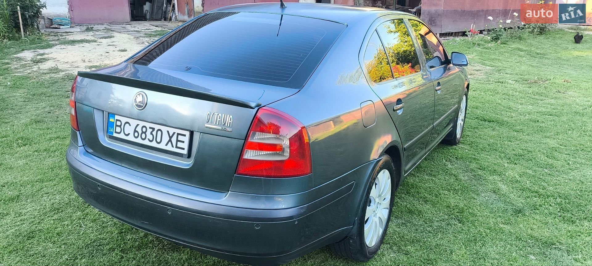 Skoda Octavia 2005 VIN TMBBE61Z852058086 фото оголошення 43 з 84