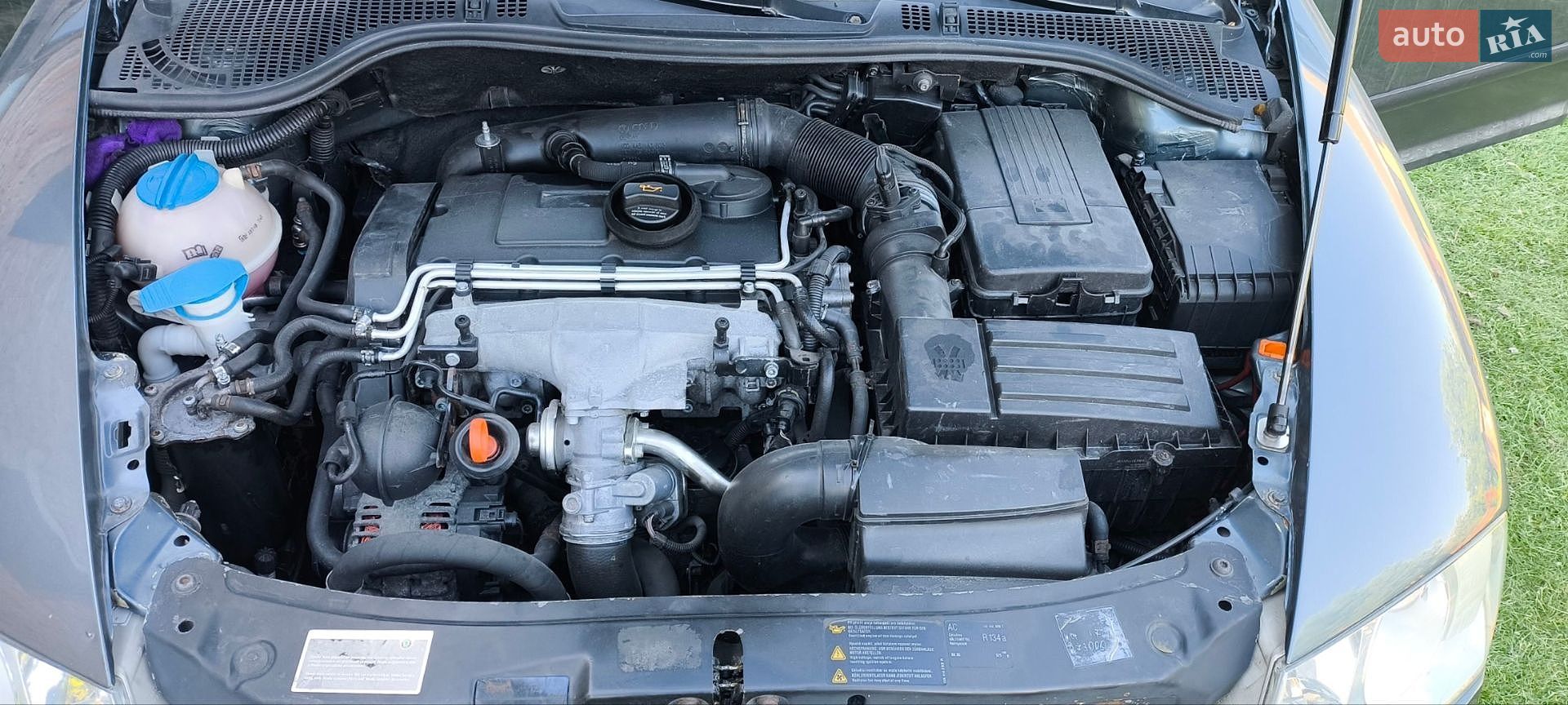 Skoda Octavia 2005 VIN TMBBE61Z852058086 фото оголошення 70 з 84