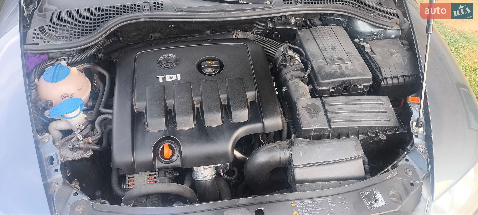 Skoda Octavia 2005 VIN TMBBE61Z852058086 фото оголошення 84 з 84