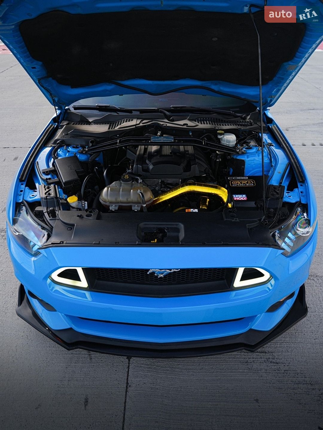 Ford Mustang 2017 VIN 1FA6P8TH8H5305580 фото оголошення 28 з 43