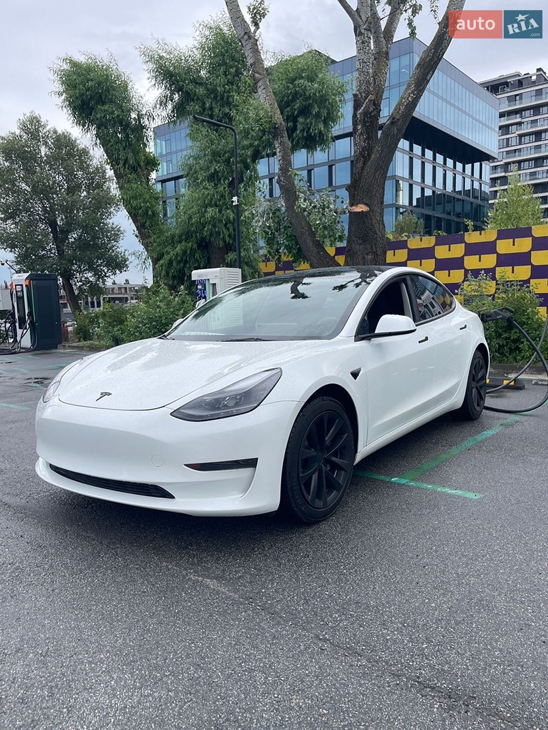 Tesla Model 3 2023 VIN 5YJ3E1EA0PF500354 фото оголошення 2 з 8