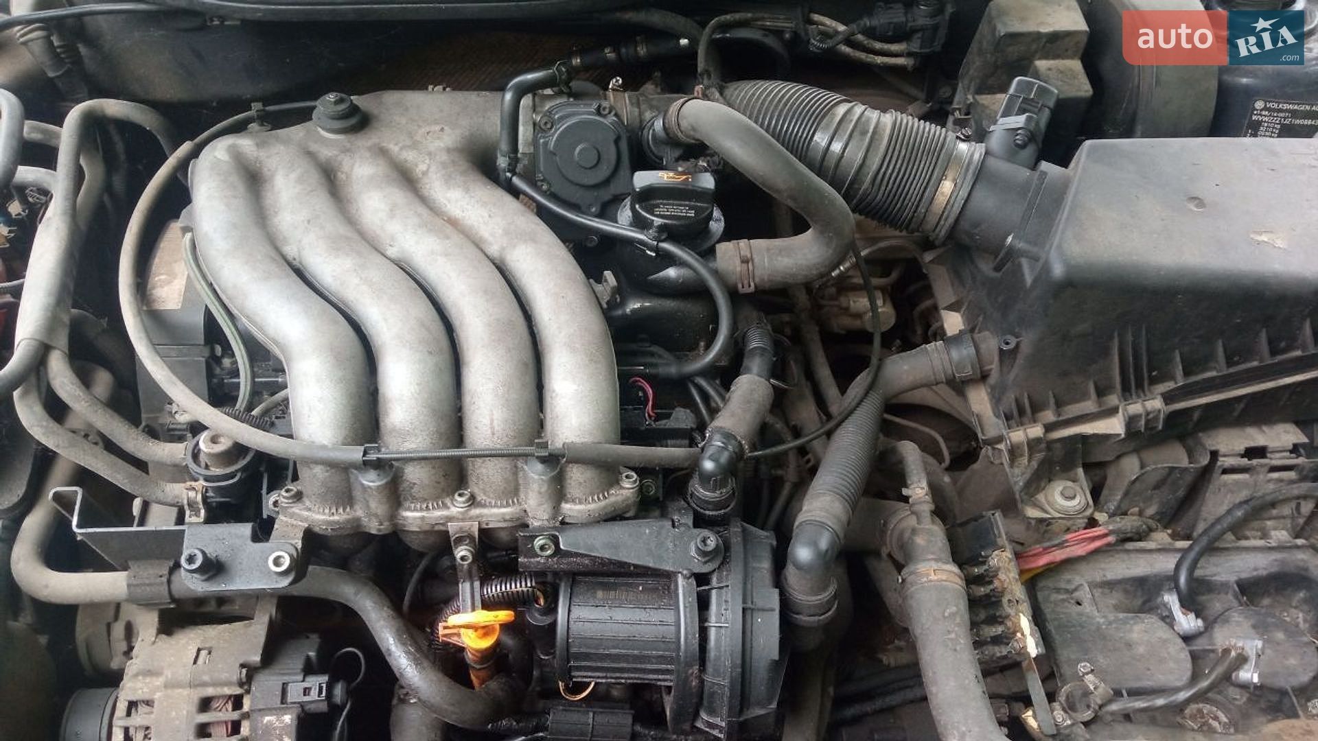 Volkswagen Golf 2000 VIN WVWZZZ1JZ1W088438 фото оголошення 13 з 13