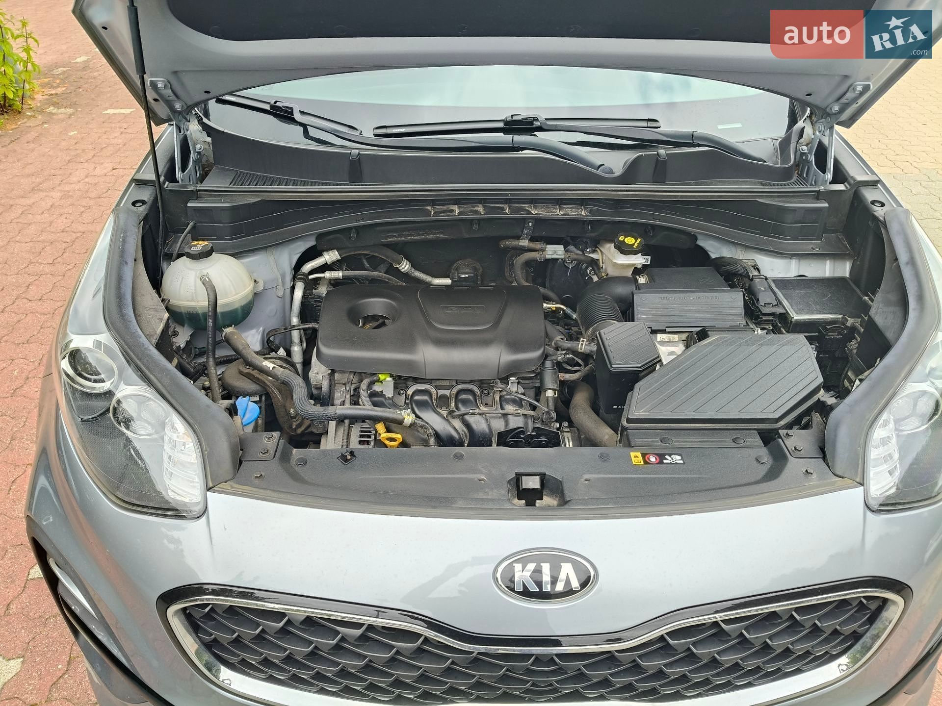 Kia Sportage 2021 VIN U5YPG814BML098279 фото оголошення 24 з 30
