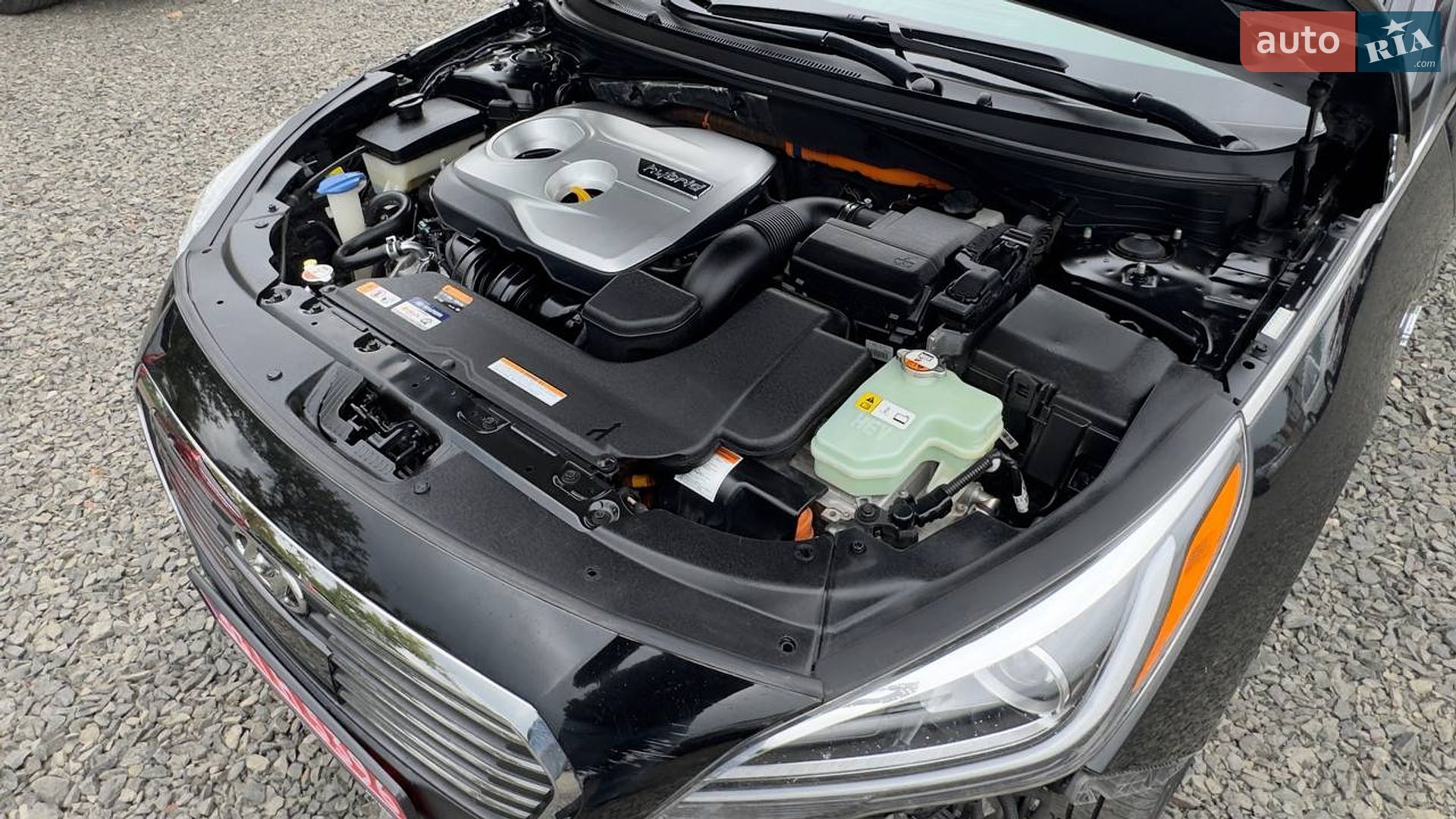 Hyundai Sonata 2015 VIN KMHE54L22GA031679 фото оголошення 32 з 32