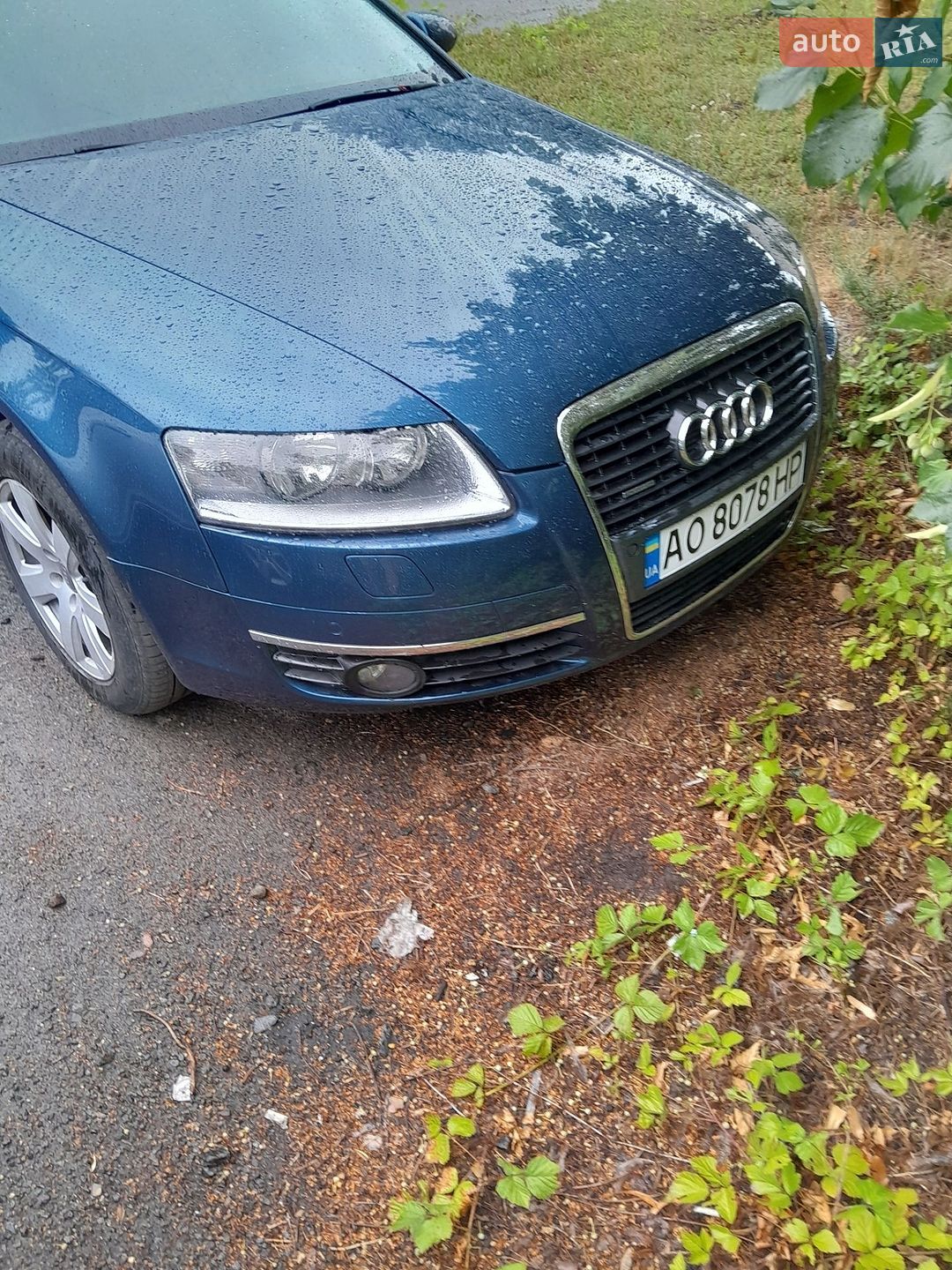 Audi A6 2006 VIN WAUZZZ4F26N130676 фото оголошення 20 з 24