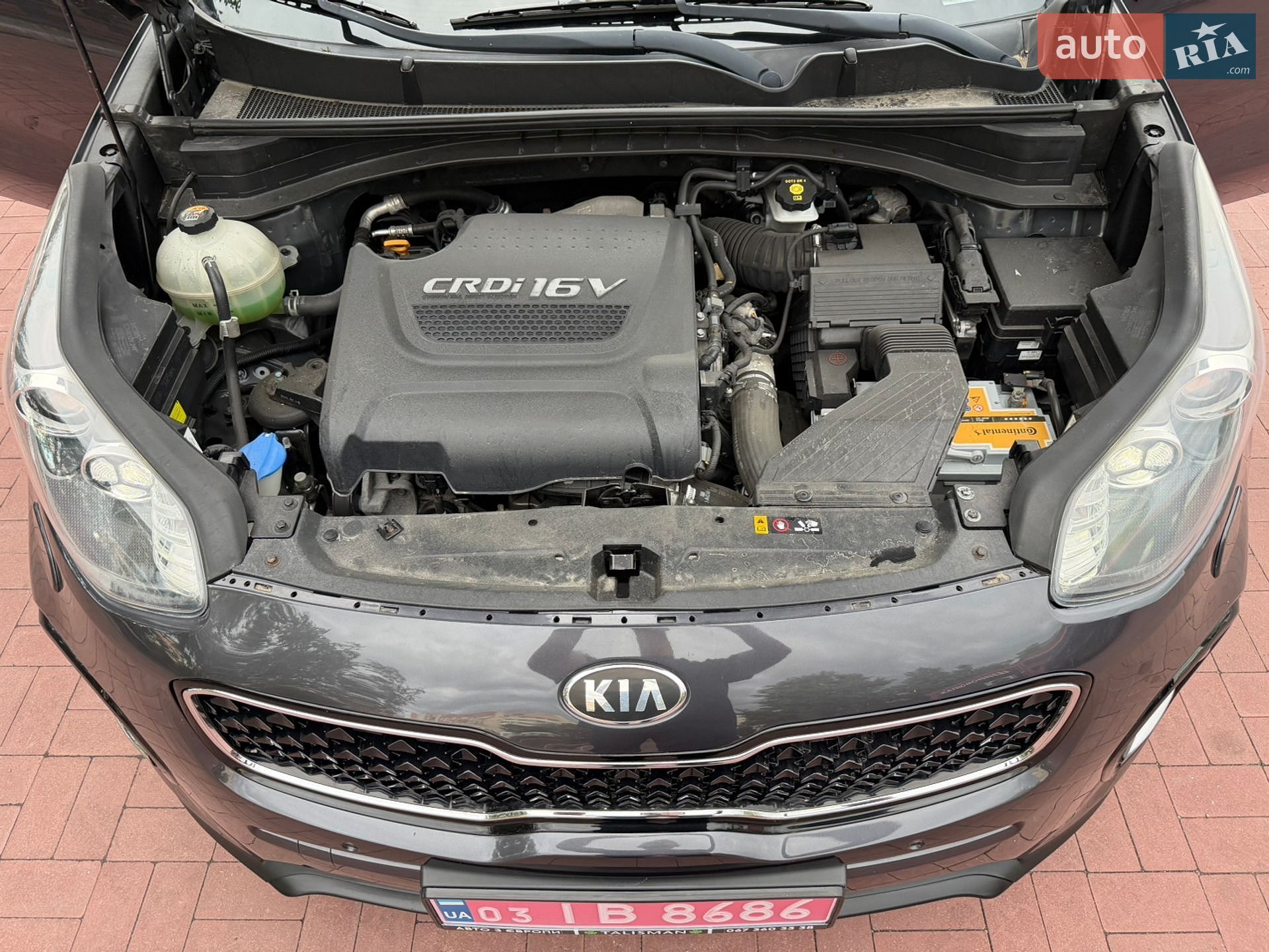 Kia Sportage 2016 VIN U5YPH813DGL072684 фото оголошення 40 з 84
