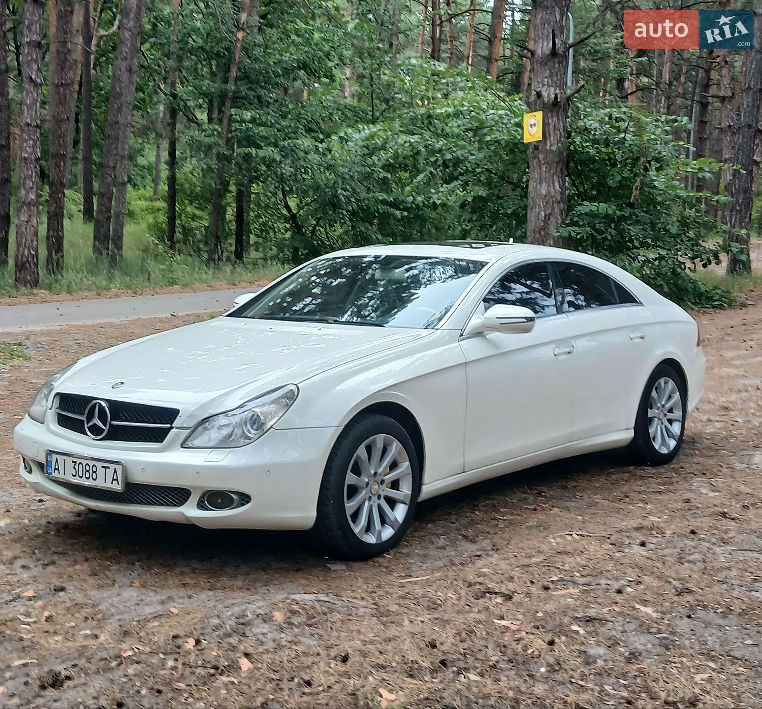 Mercedes-Benz CLS-Class 2005 VIN WDD2193561A002578 фото оголошення 14 з 16