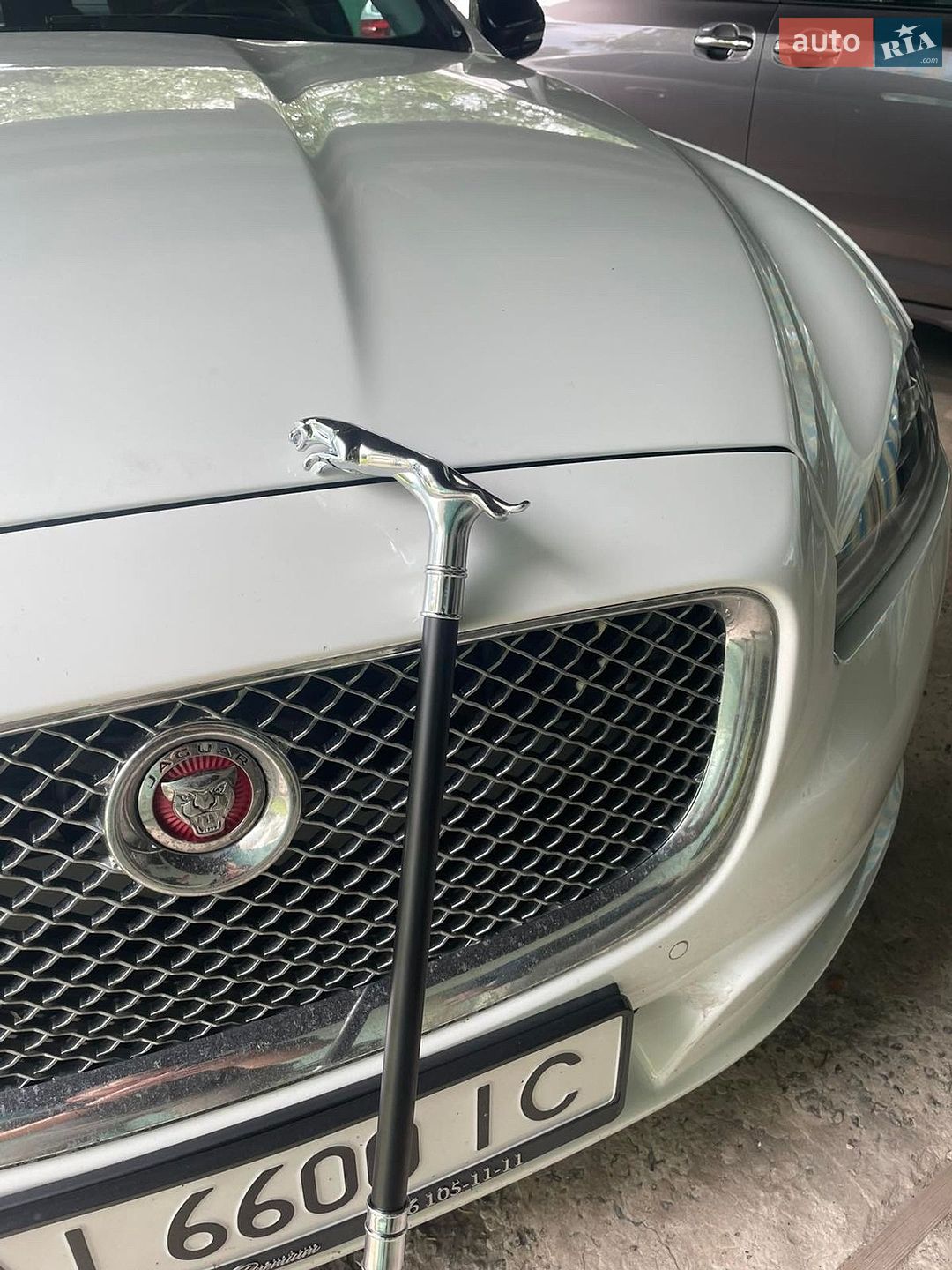 Jaguar XJ 2015 VIN SAJAJ22H0F8V88378 фото оголошення 3 з 46