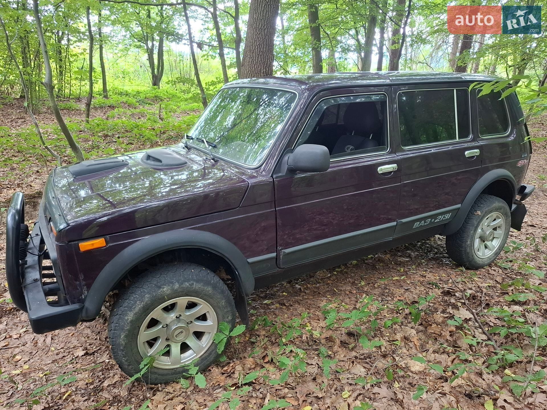 ВАЗ / Lada 2131 Нива 2003 VIN XTA21310030046689 фото оголошення 4 з 14