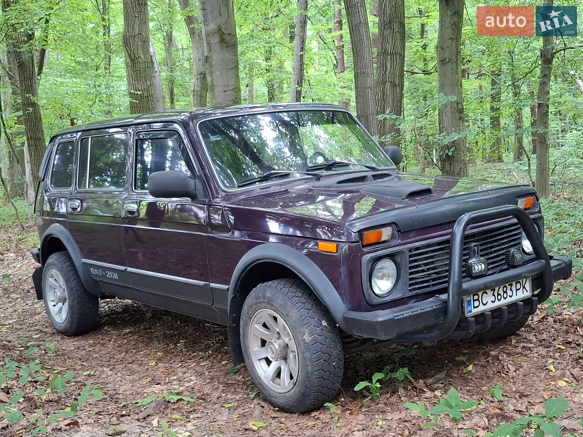 ВАЗ / Lada 2131 Нива 2003 VIN XTA21310030046689 фото оголошення 5 з 14