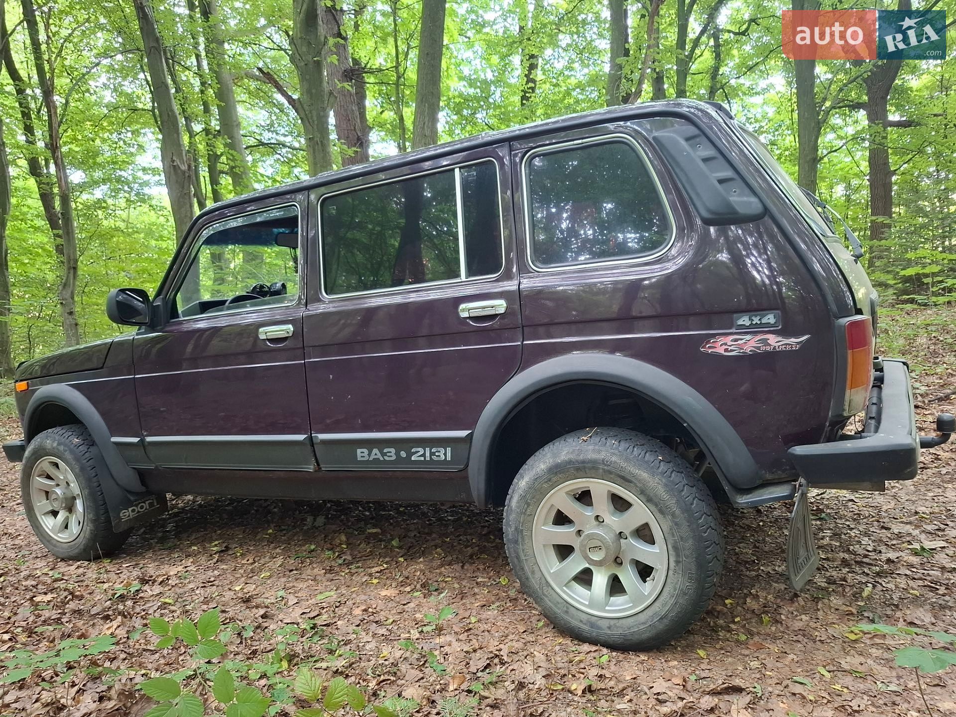 ВАЗ / Lada 2131 Нива 2003 VIN XTA21310030046689 фото оголошення 8 з 14