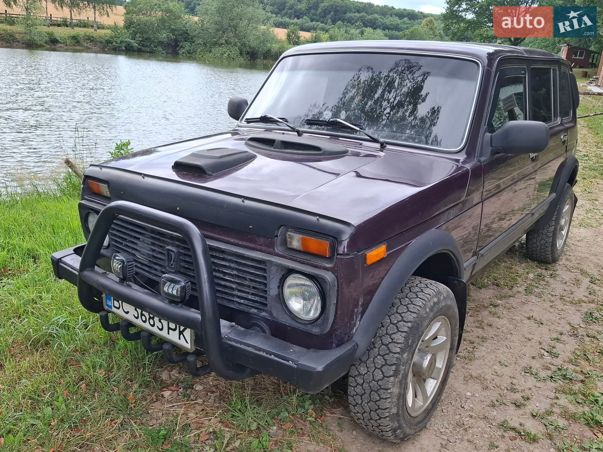 ВАЗ / Lada 2131 Нива 2003 VIN XTA21310030046689 фото оголошення 9 з 14