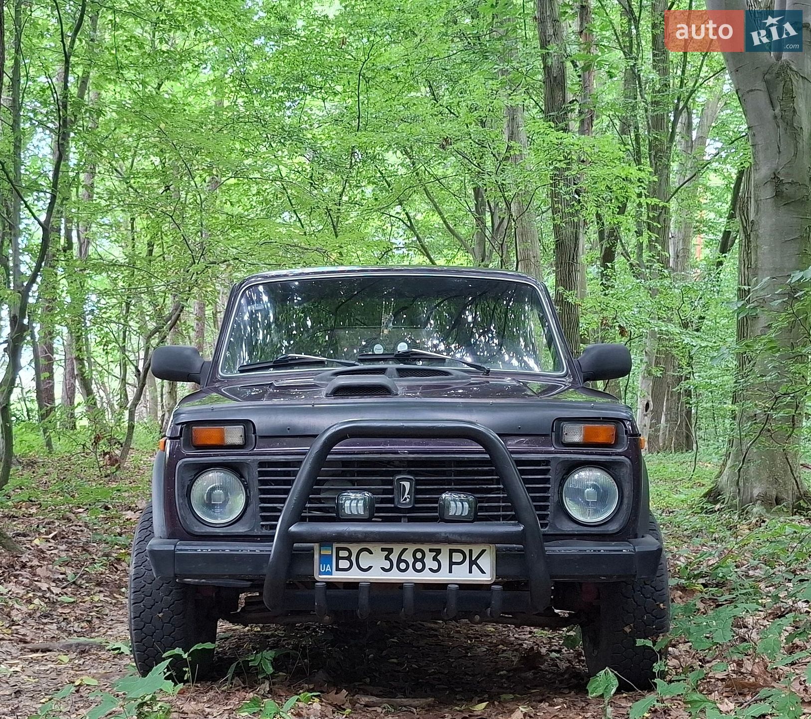 ВАЗ / Lada 2131 Нива 2003 VIN XTA21310030046689 фото оголошення 10 з 14