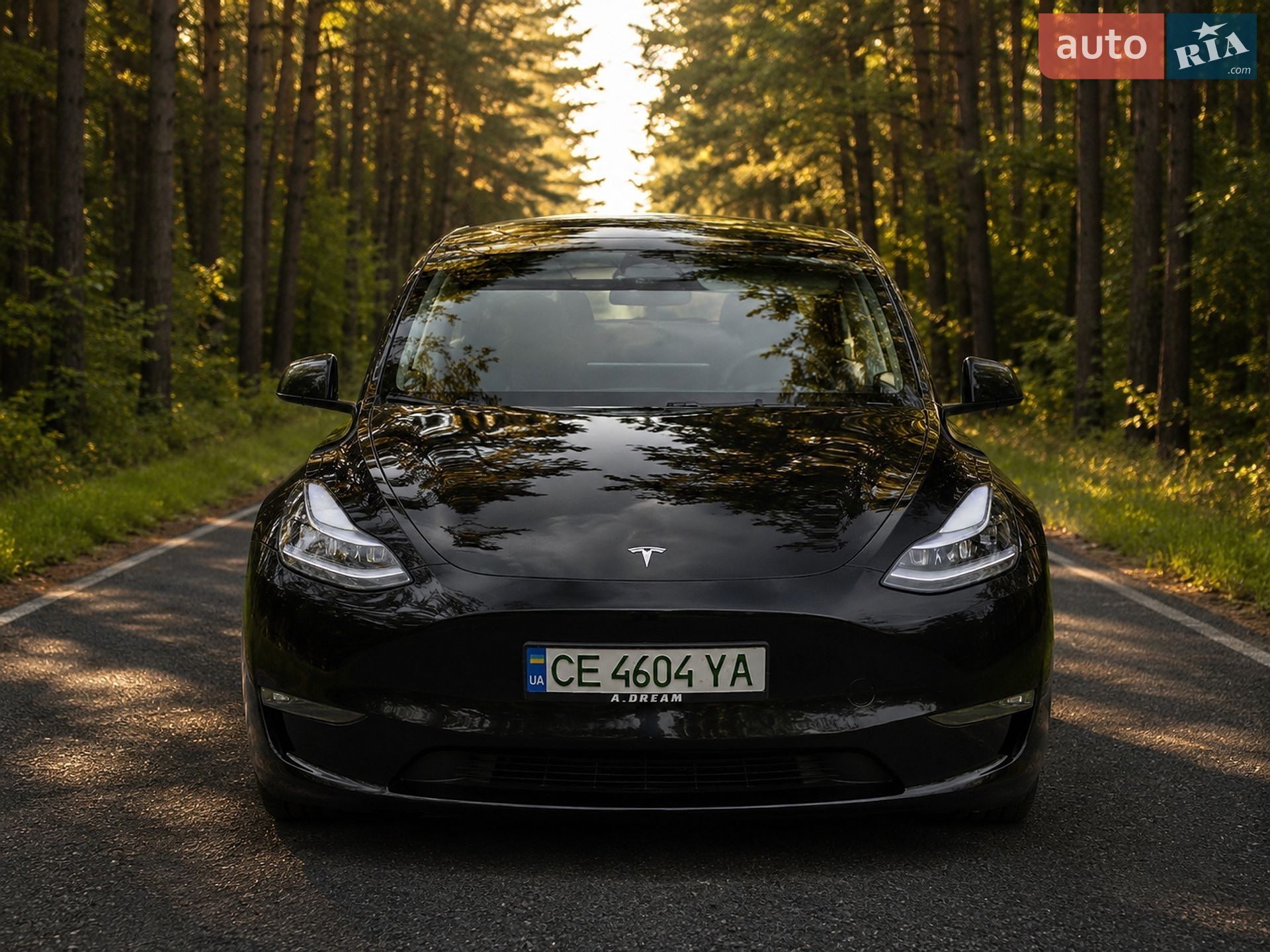 Tesla Model Y 2024 VIN 7SAYGAEEXRF063469 фото оголошення 7 з 47