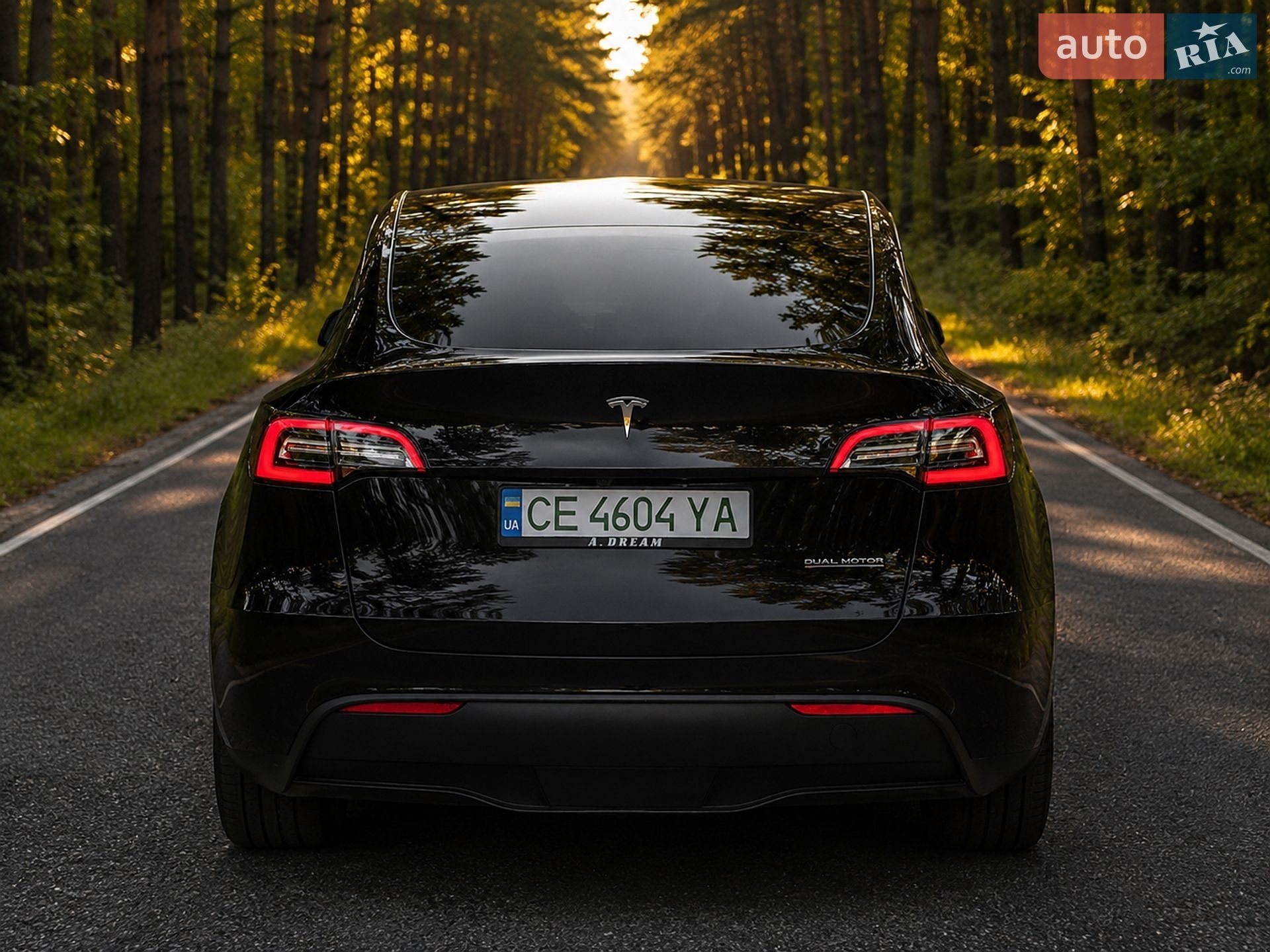 Tesla Model Y 2024 VIN 7SAYGAEEXRF063469 фото оголошення 8 з 47