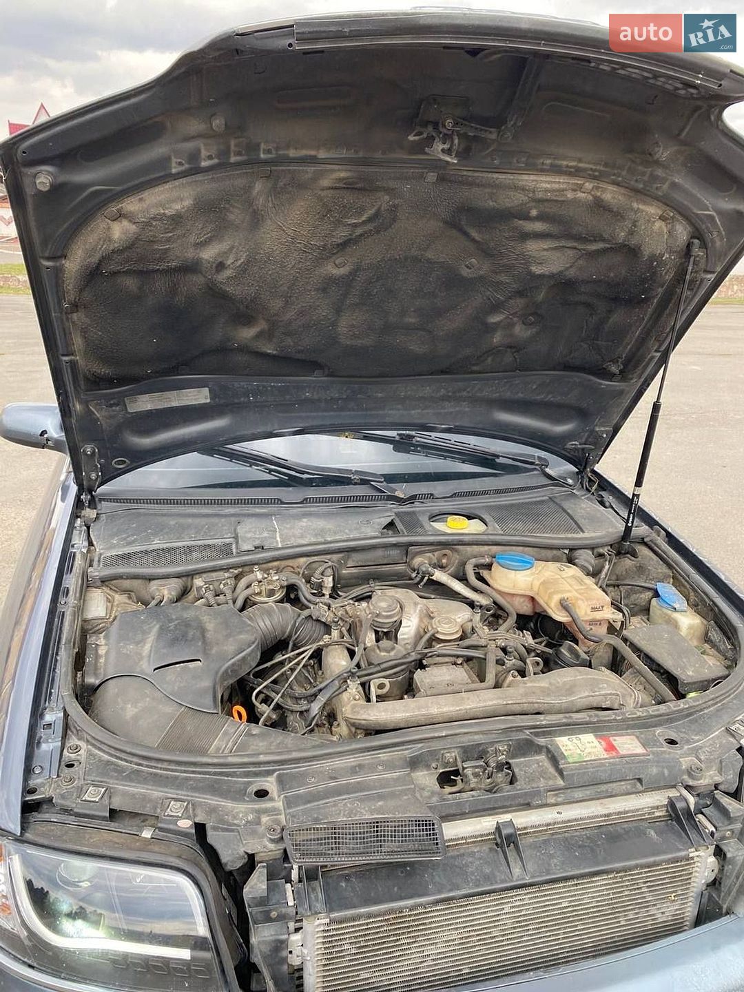 Audi A6 2003 VIN WAUZZZ4B24N056802 фото оголошення 7 з 12