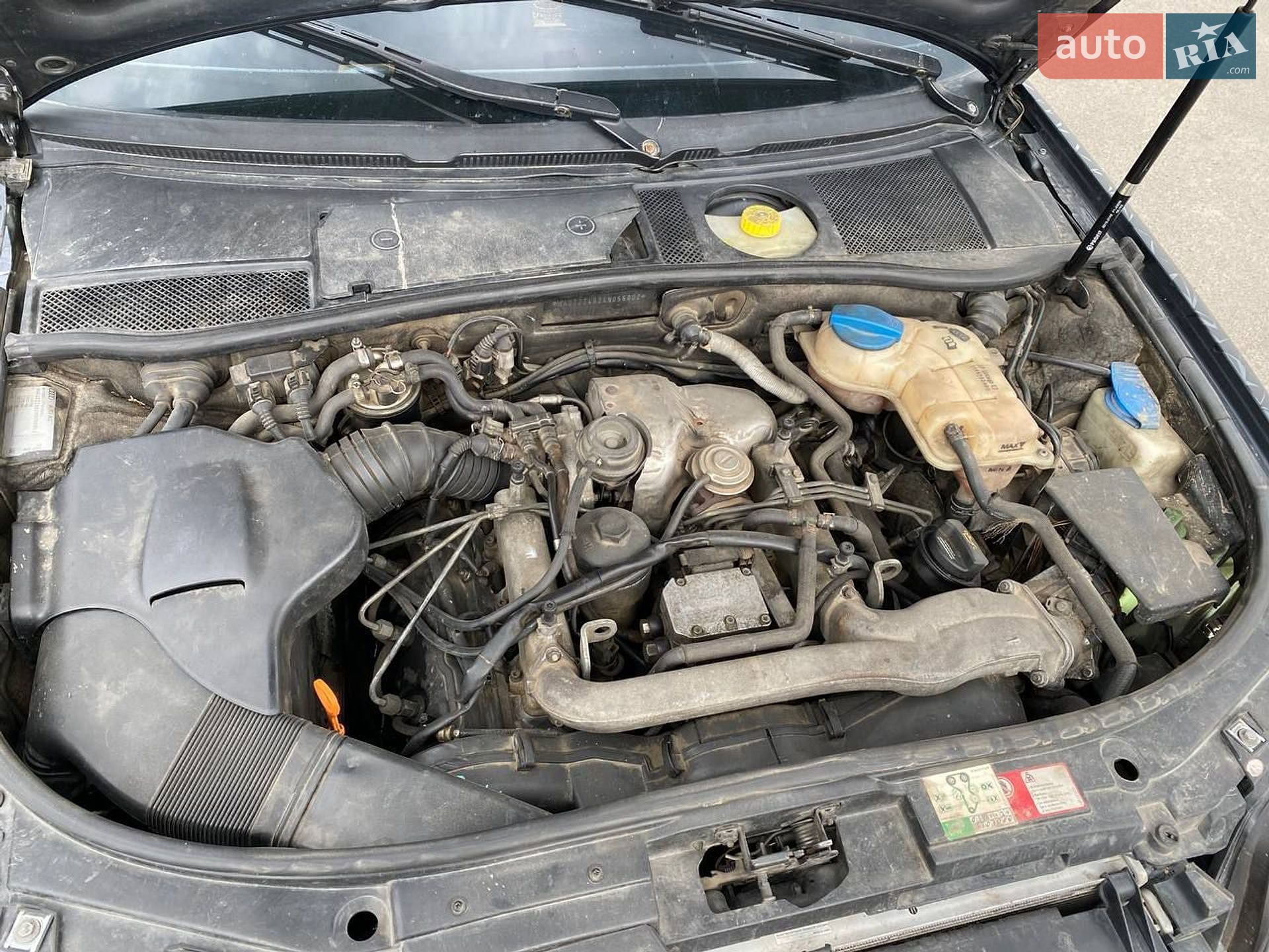 Audi A6 2003 VIN WAUZZZ4B24N056802 фото оголошення 6 з 12