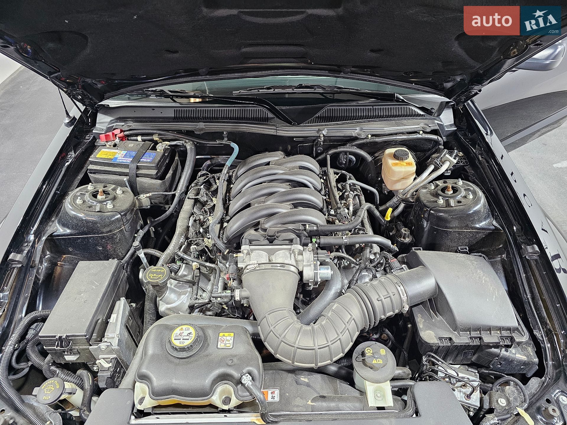 Ford Mustang 2006 VIN 1ZVFT82H875225148 фото оголошення 8 з 31