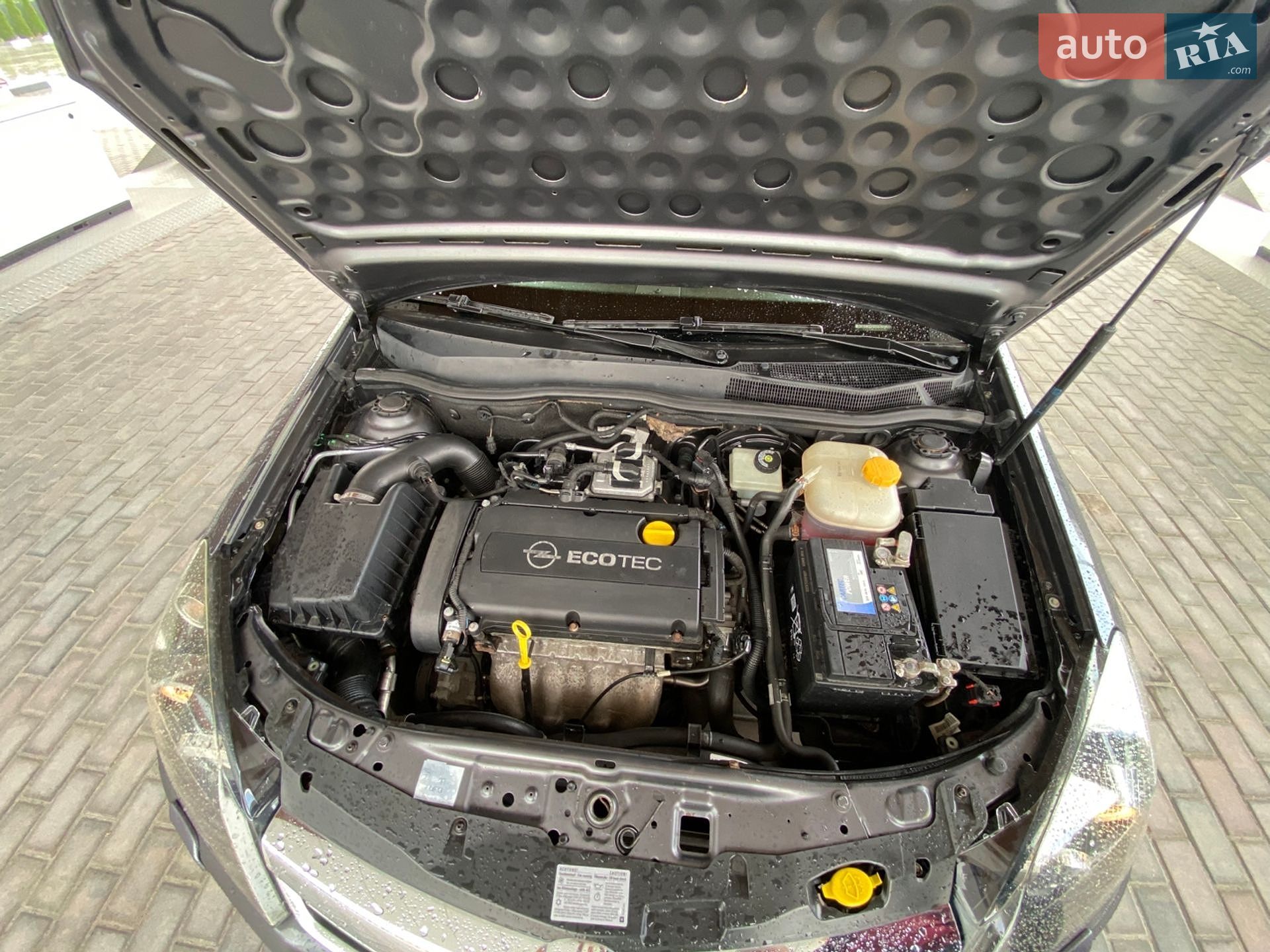 Opel Astra 2009 VIN W0L0AHL3592059158 фото оголошення 20 з 20