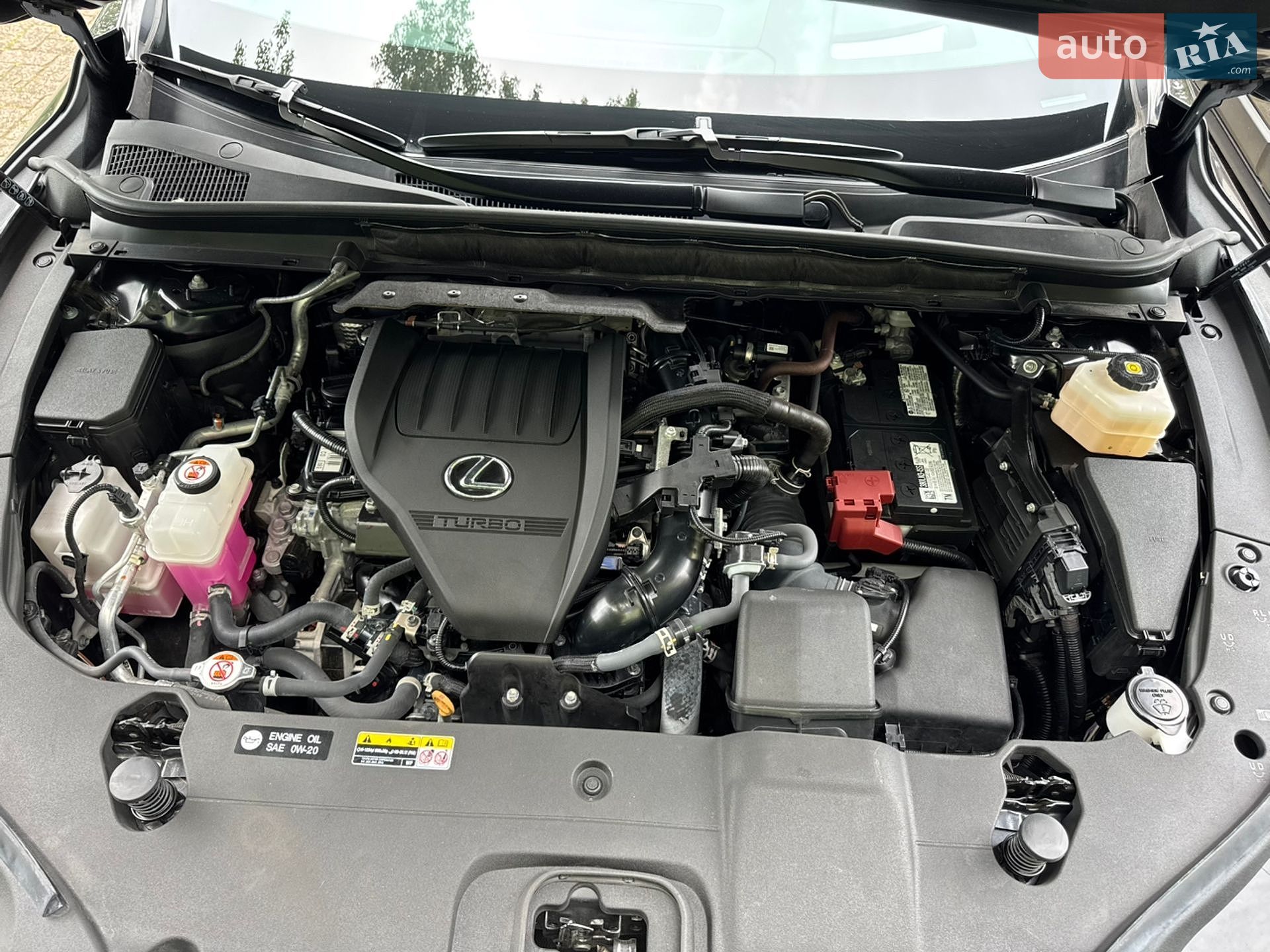 Lexus RX 2024 VIN 2T2BAMCA1RC075578 фото оголошення 2 з 23