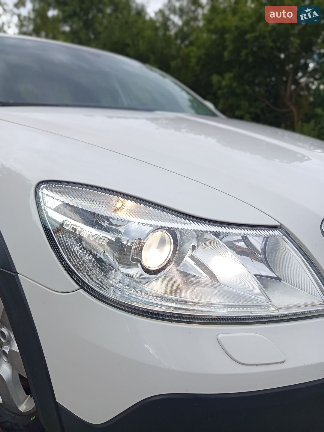 Skoda Octavia Scout 2011 VIN TMBKE61Z2B2131223 фото оголошення 38 з 126